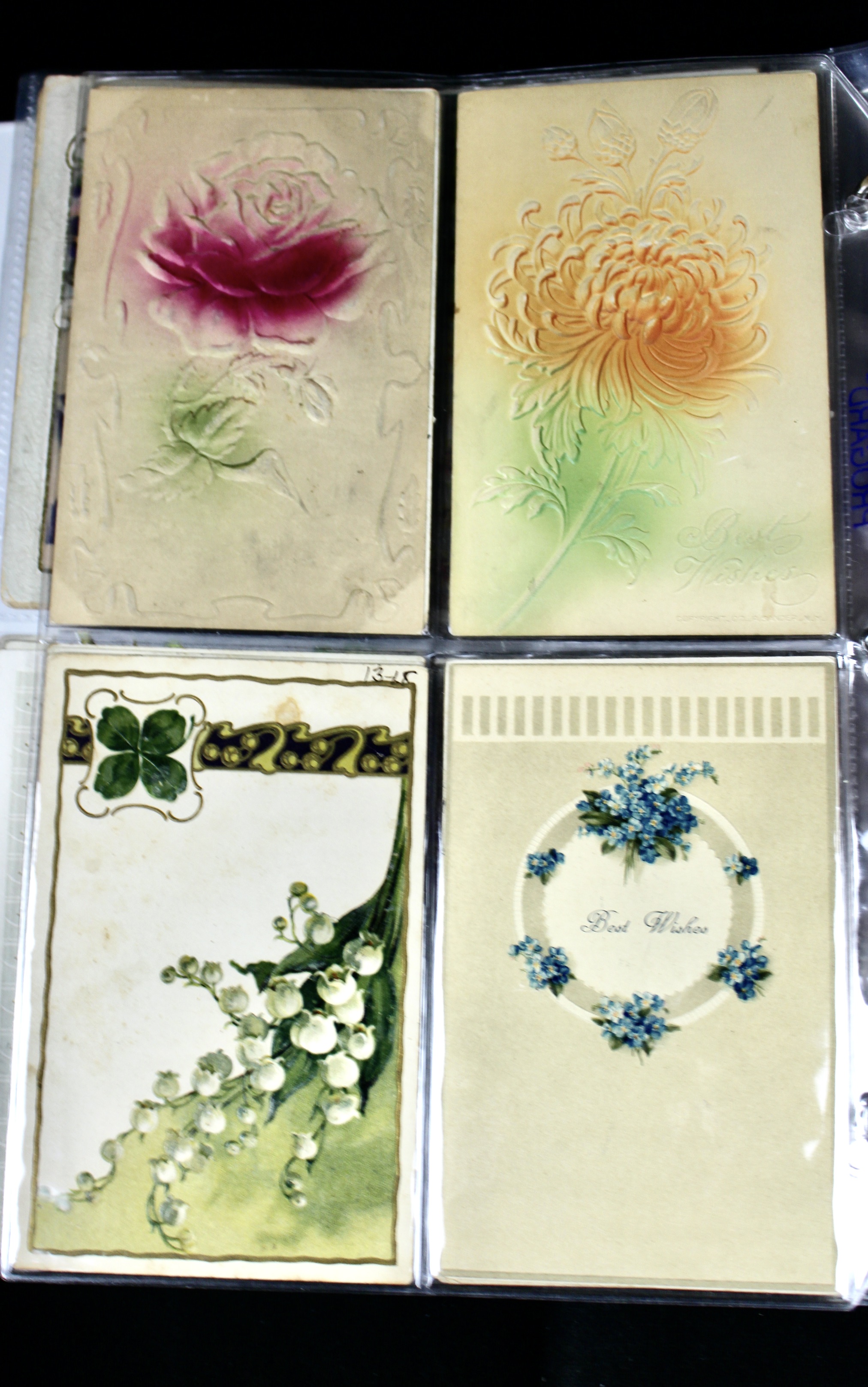 Album of 99 Embossed Floral-Themed Postcards, Early 1900s