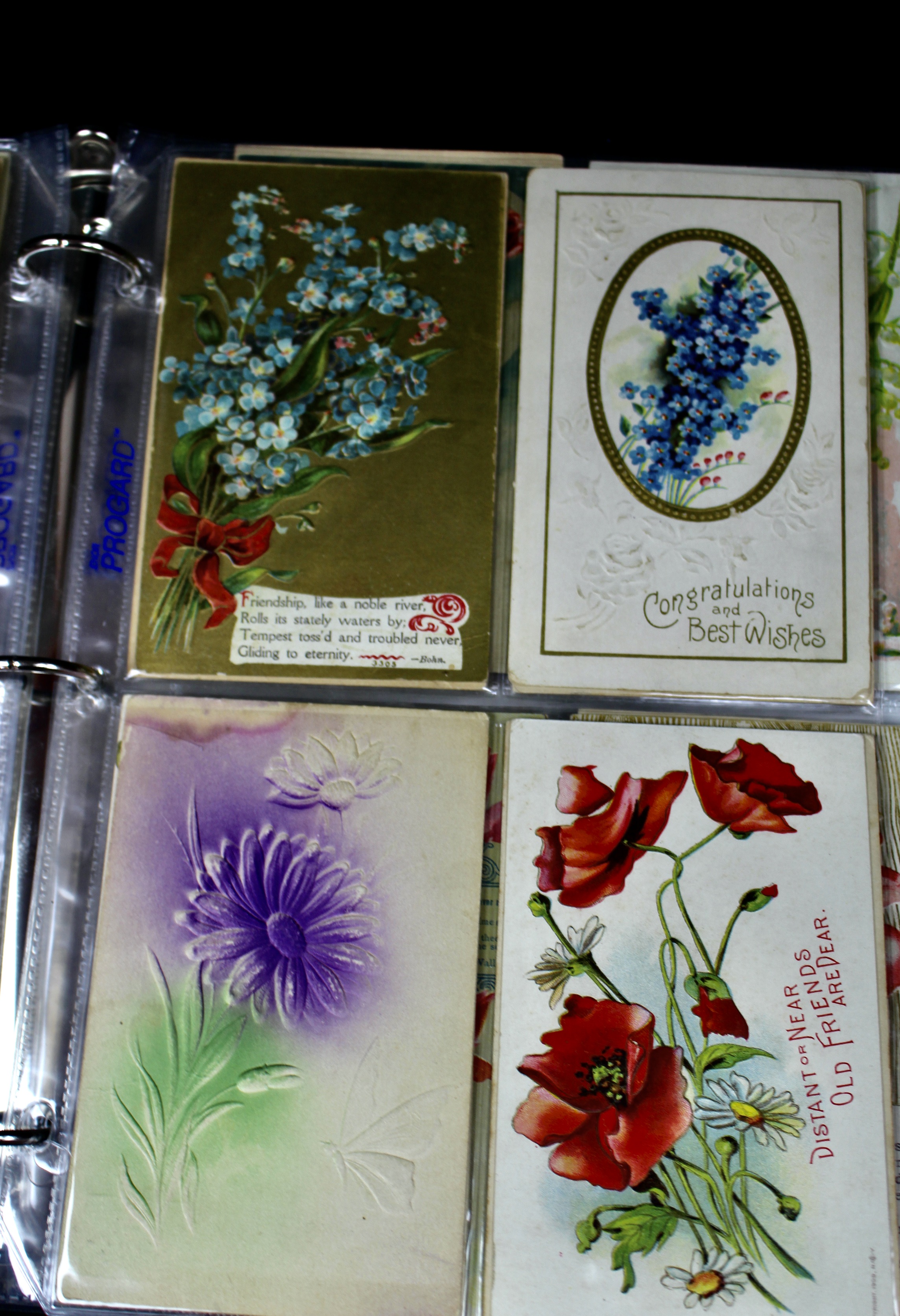 Album of 99 Embossed Floral-Themed Postcards, Early 1900s