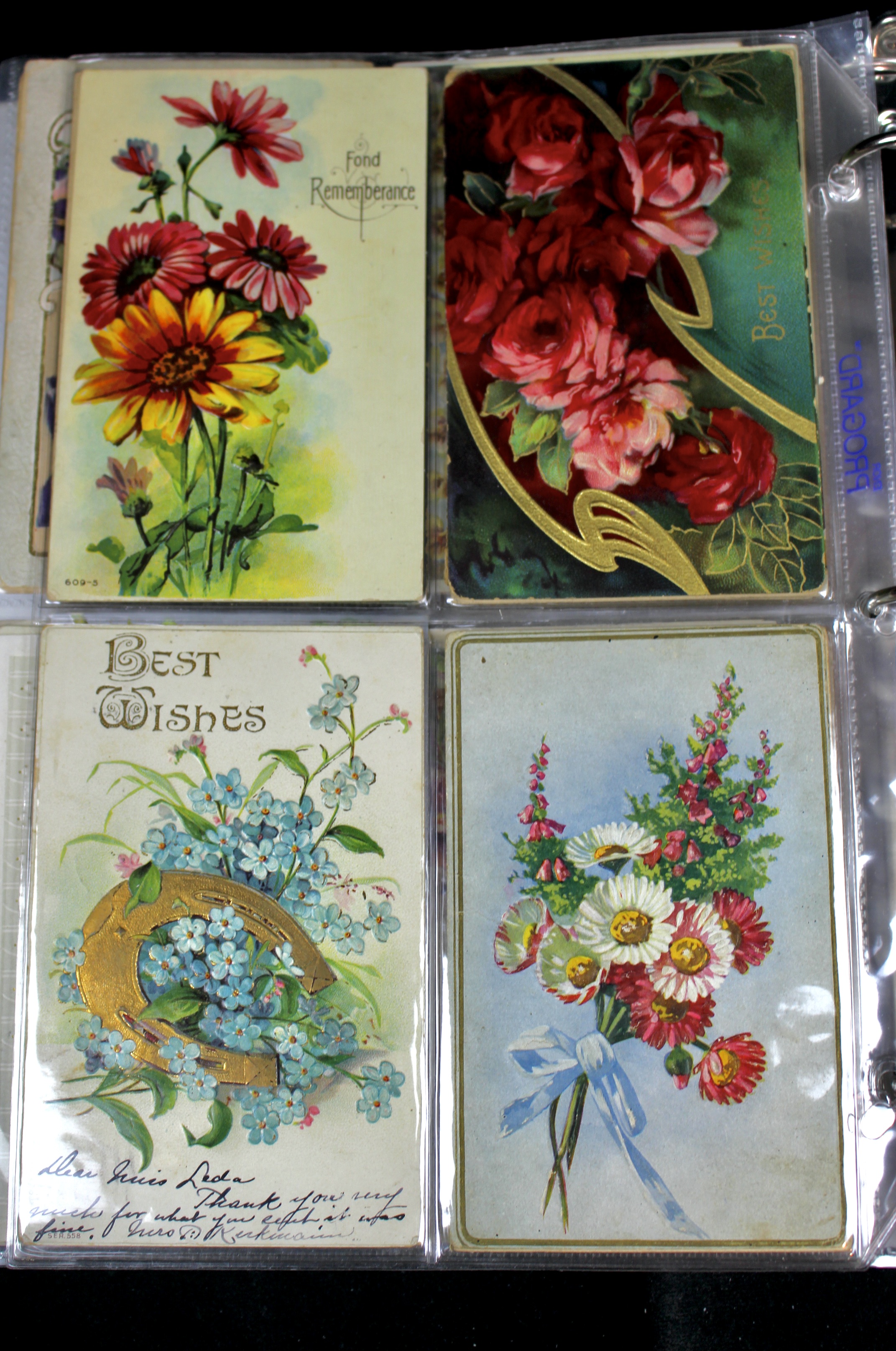 Album of 99 Embossed Floral-Themed Postcards, Early 1900s