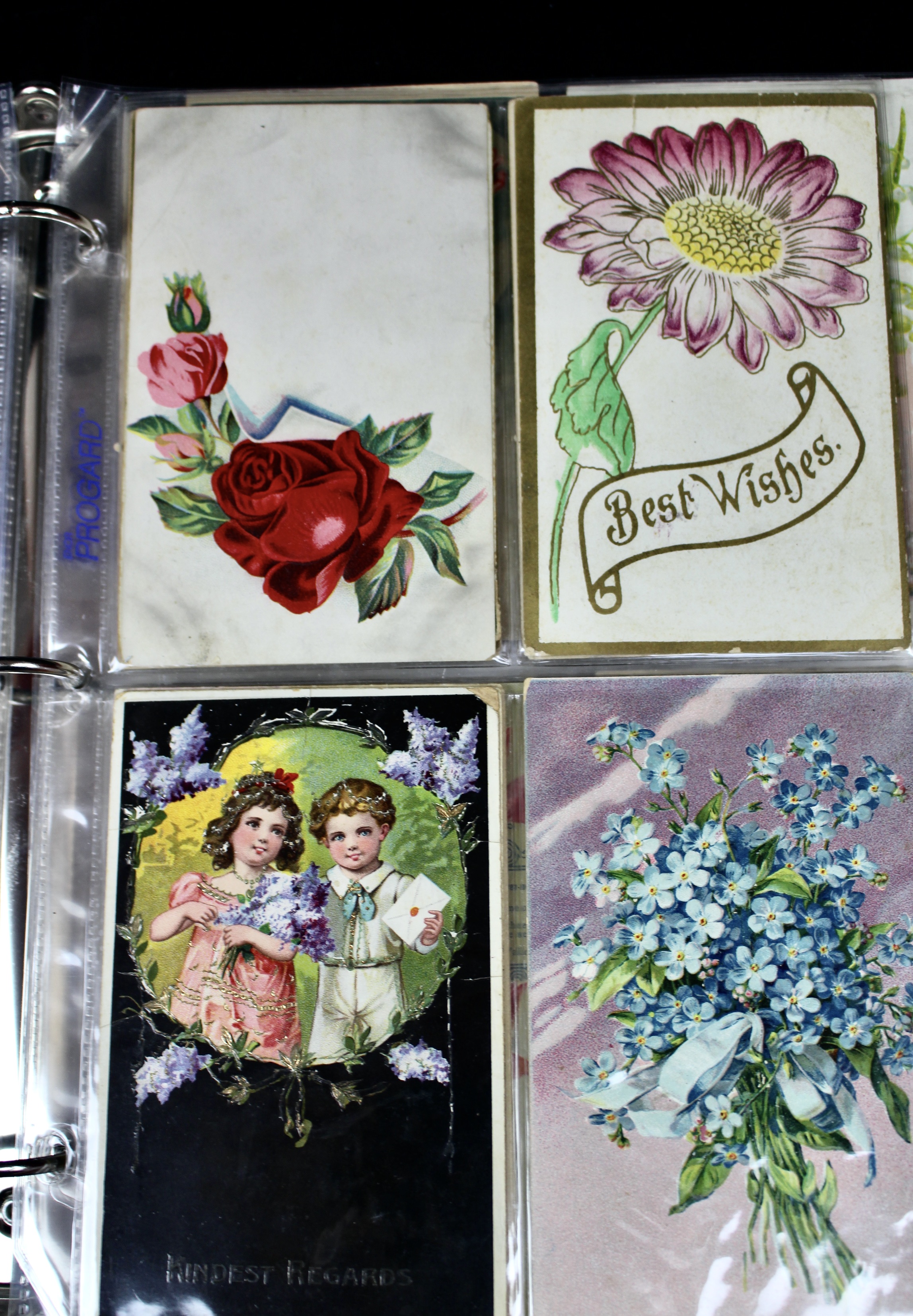 Album of 99 Embossed Floral-Themed Postcards, Early 1900s