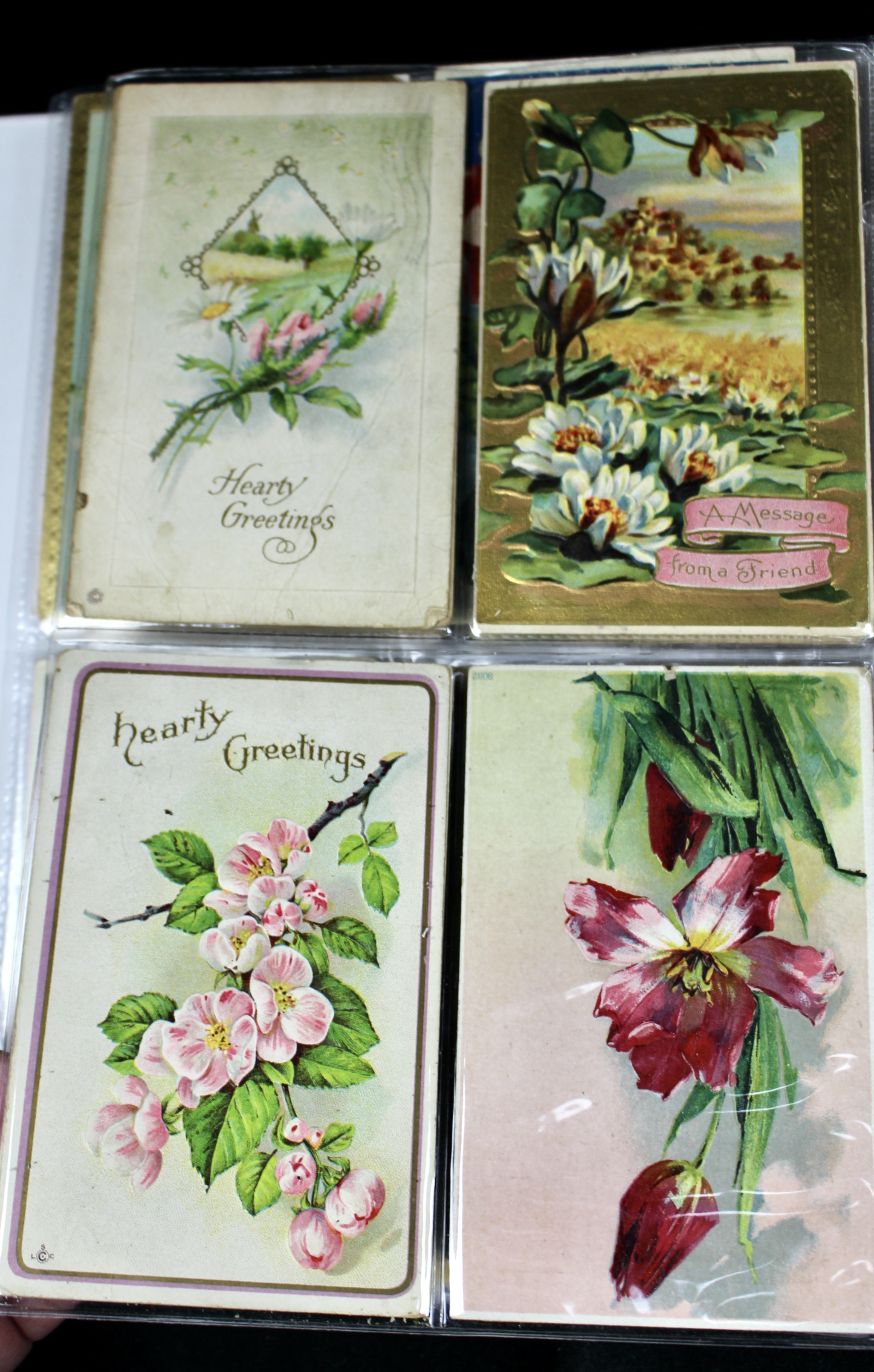 Album of 99 Embossed Floral-Themed Postcards, Early 1900s