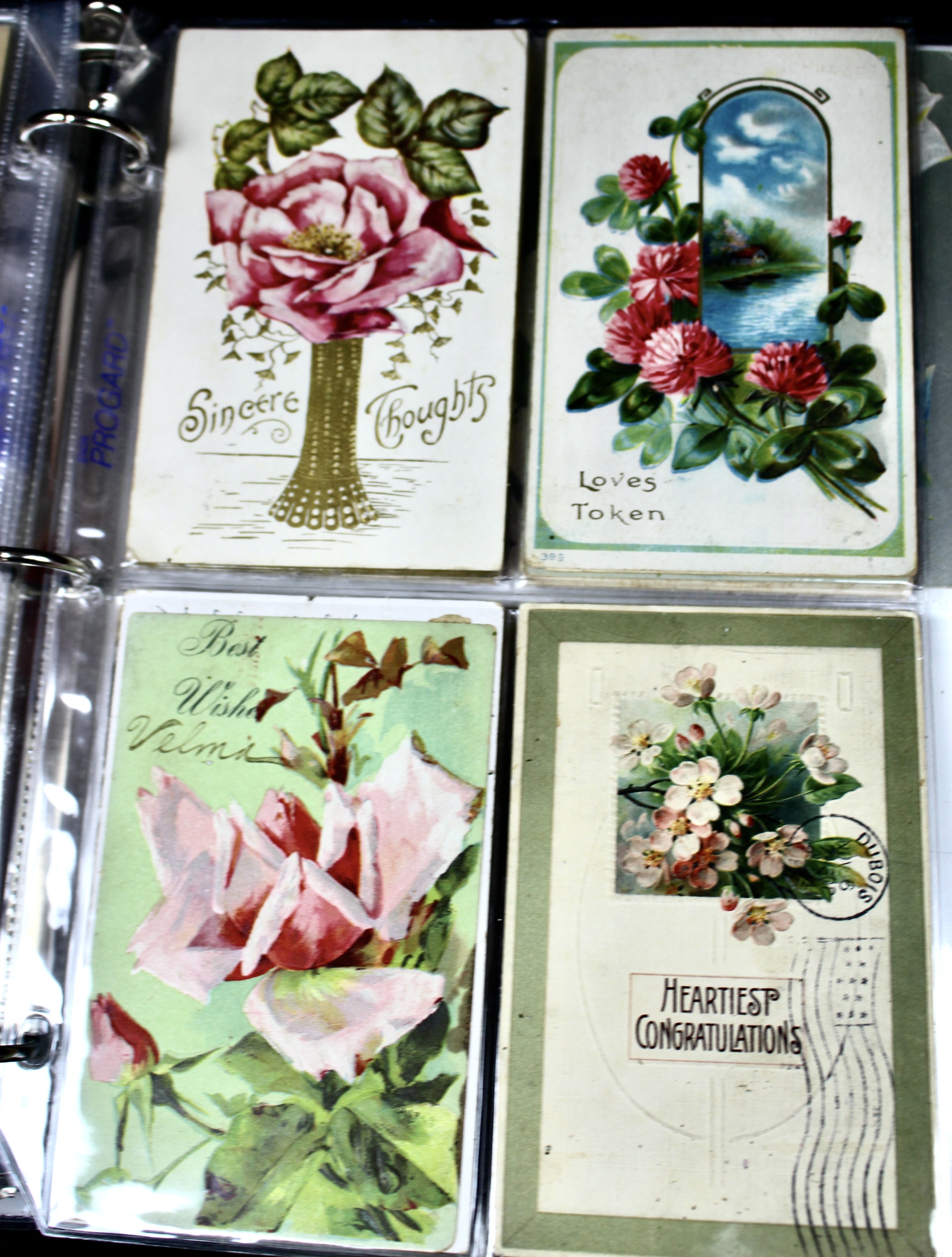 Album of 99 Embossed Floral-Themed Postcards, Early 1900s