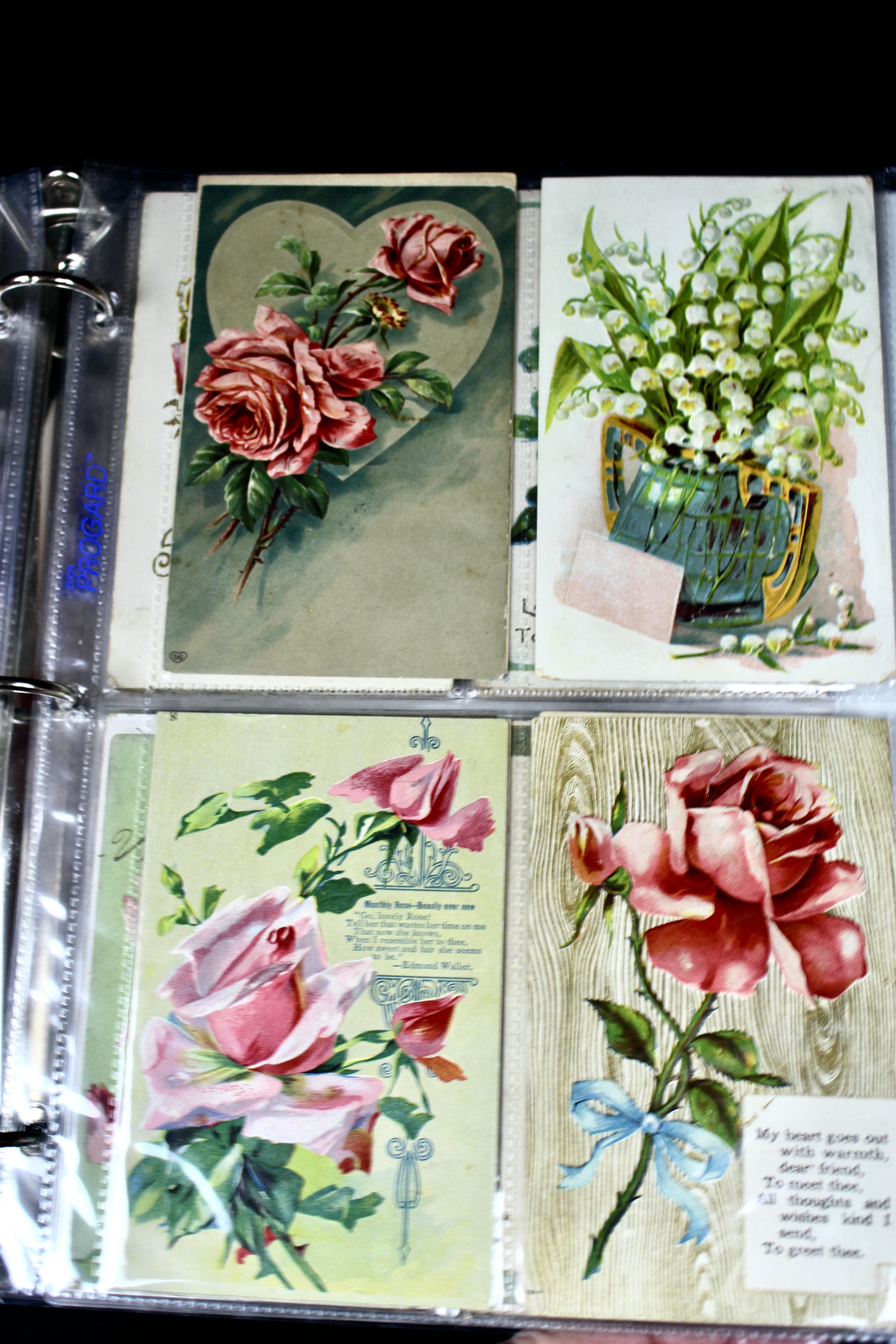 Album of 99 Embossed Floral-Themed Postcards, Early 1900s