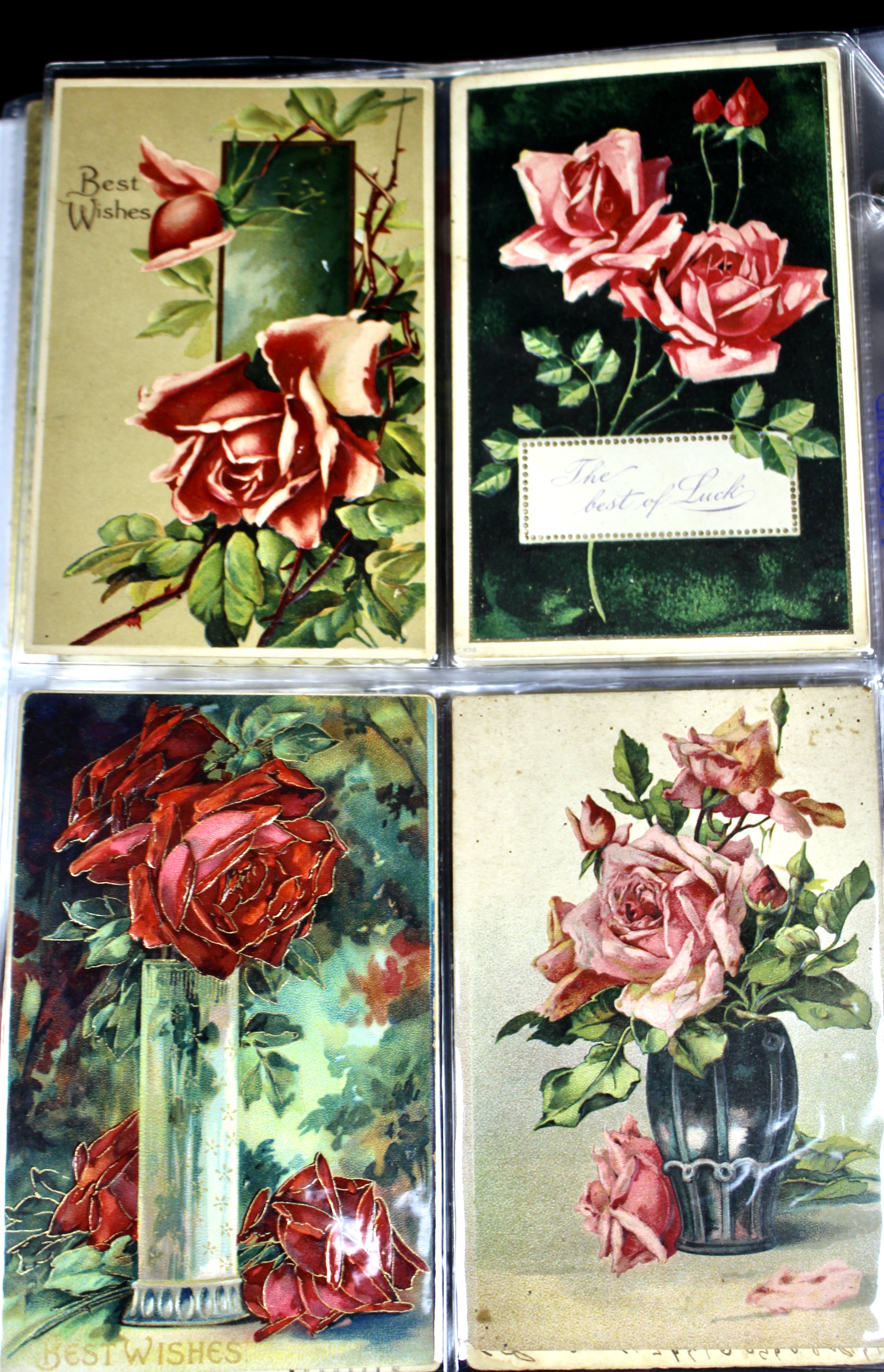 Album of 99 Embossed Floral-Themed Postcards, Early 1900s