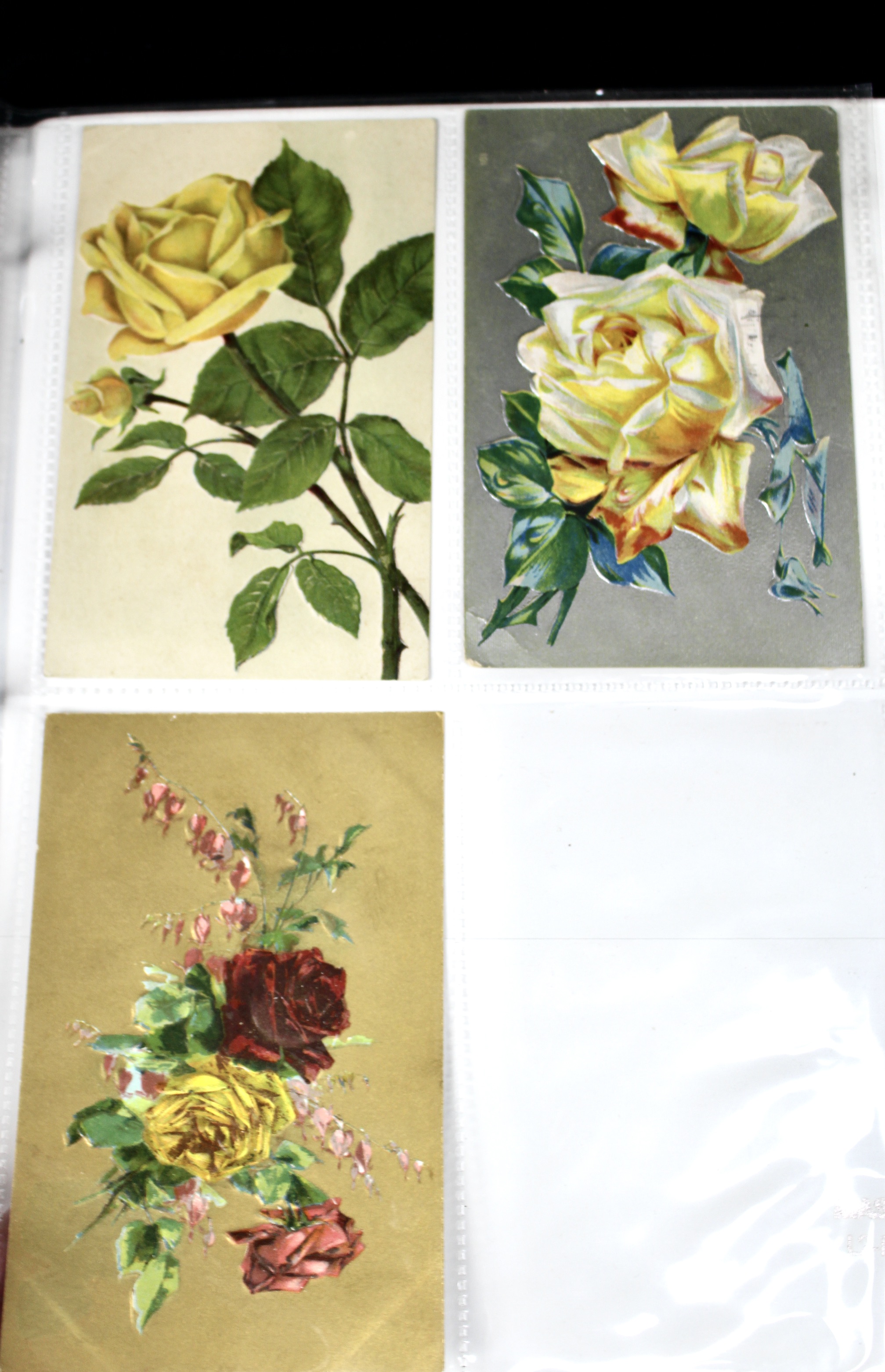 Album of 99 Embossed Floral-Themed Postcards, Early 1900s