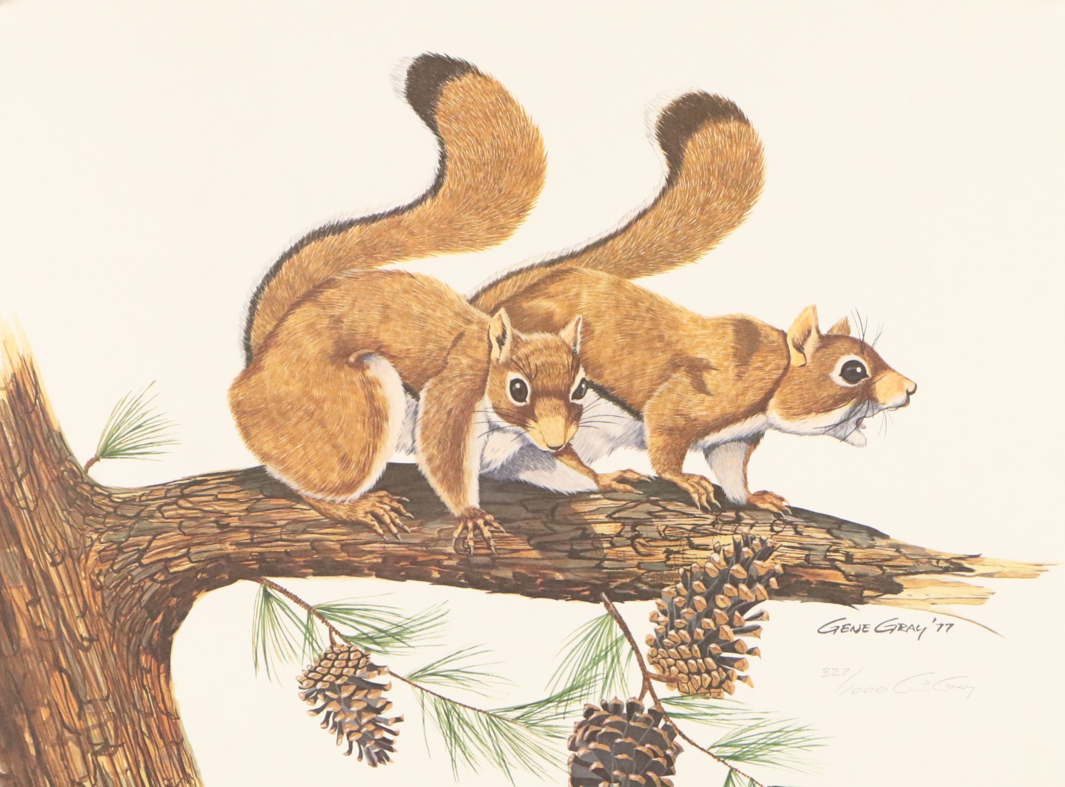 Gene Gray Green River Offset Lithograph "Red Squirrel"