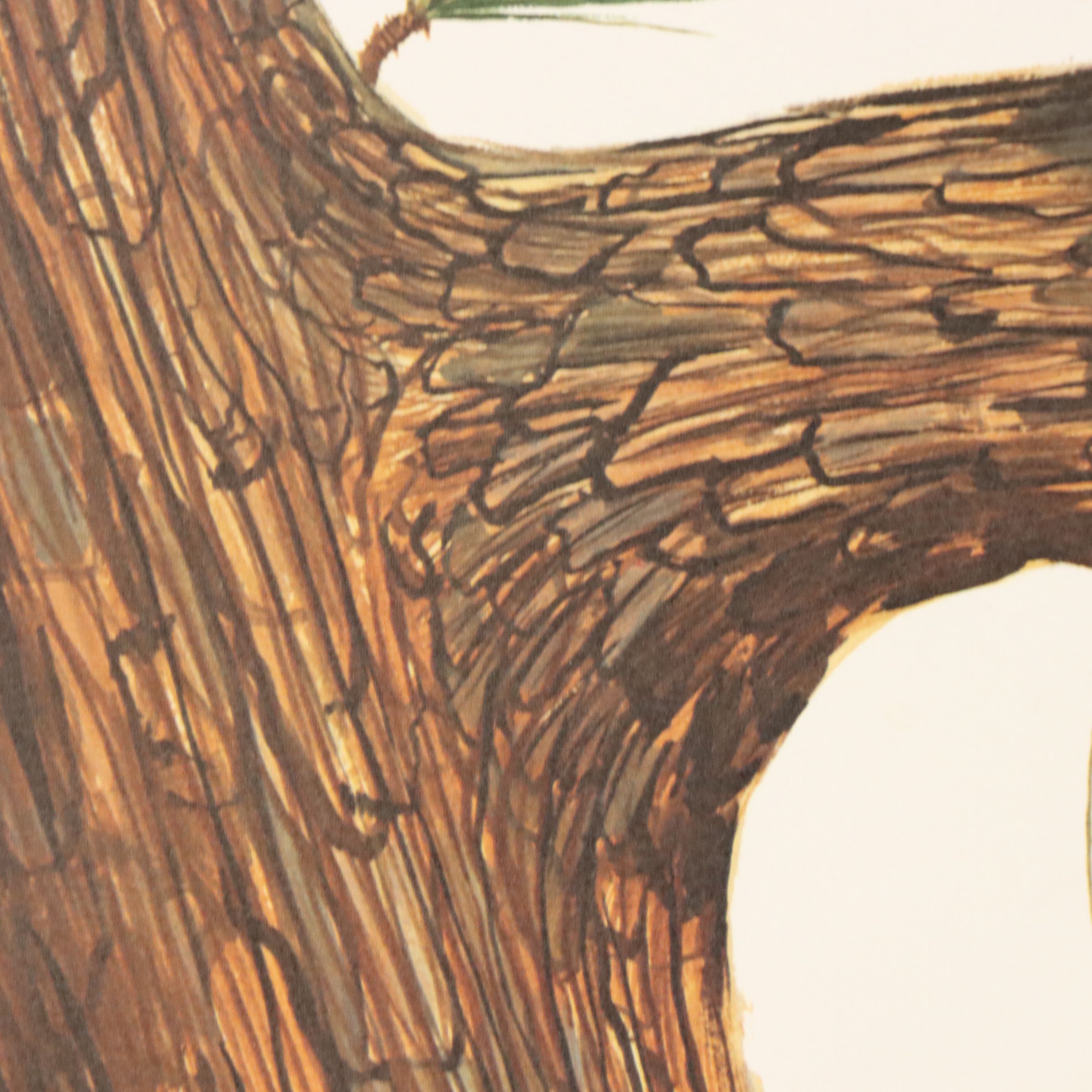 Gene Gray Green River Offset Lithograph "Red Squirrel"