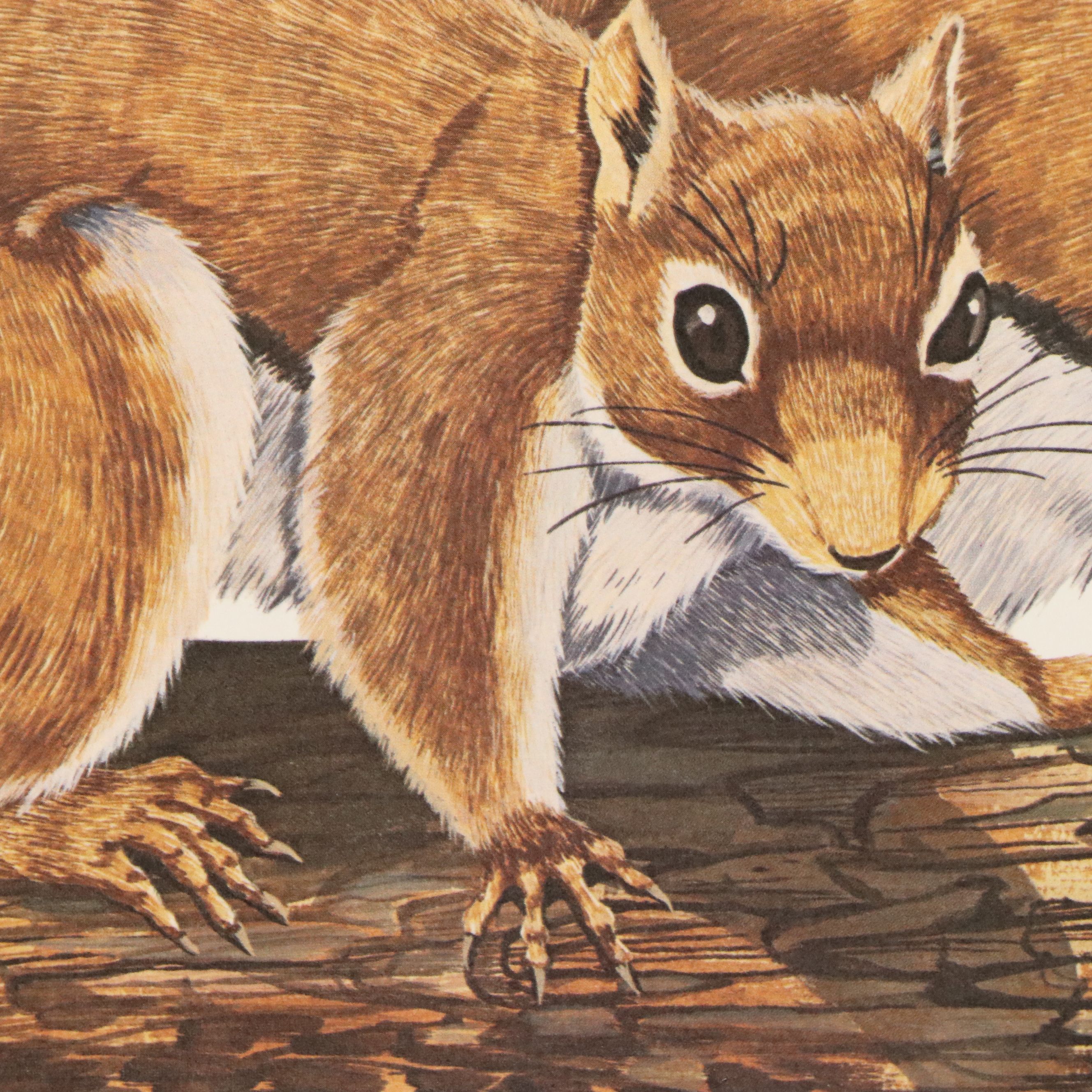 Gene Gray Green River Offset Lithograph "Red Squirrel"