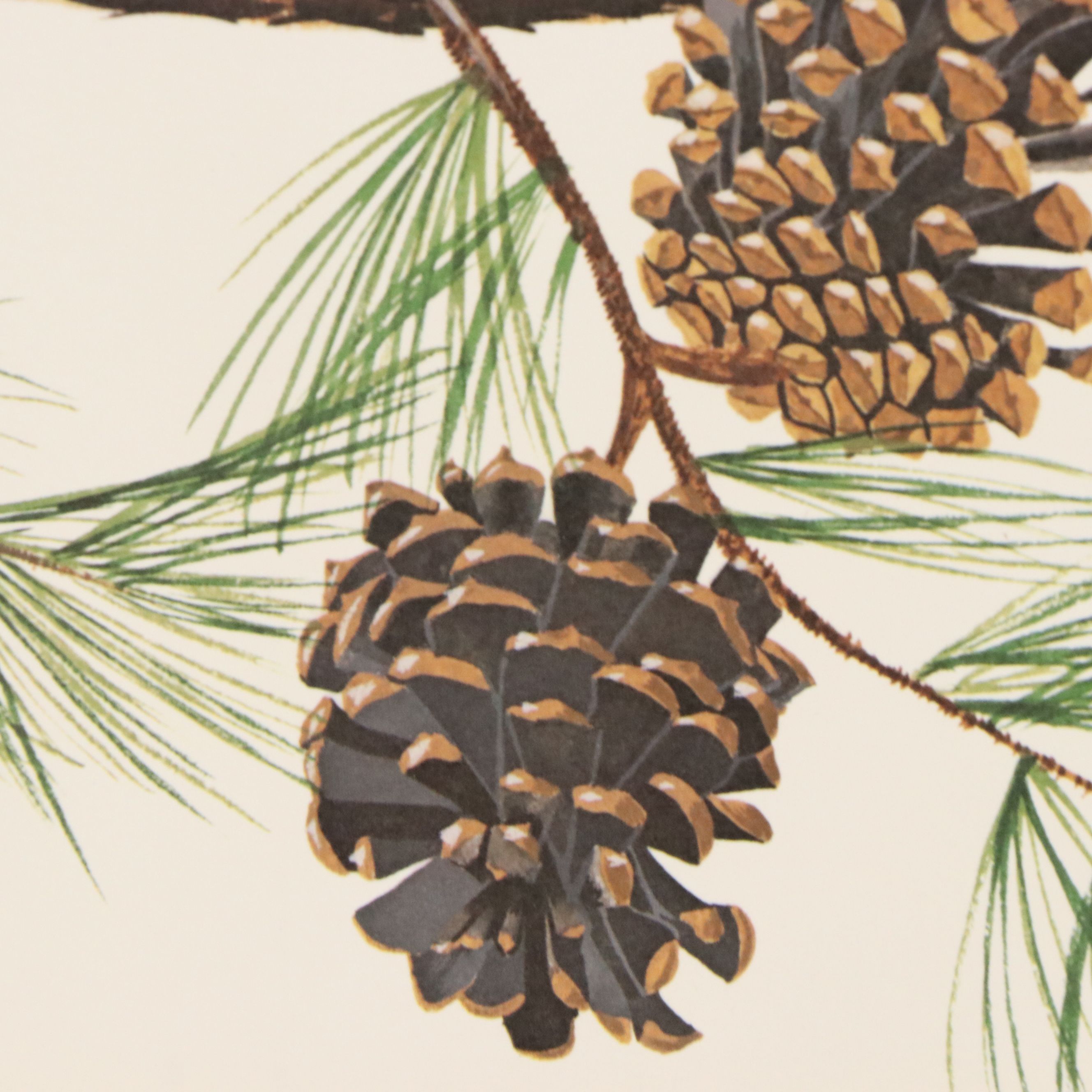 Gene Gray Green River Offset Lithograph "Red Squirrel"