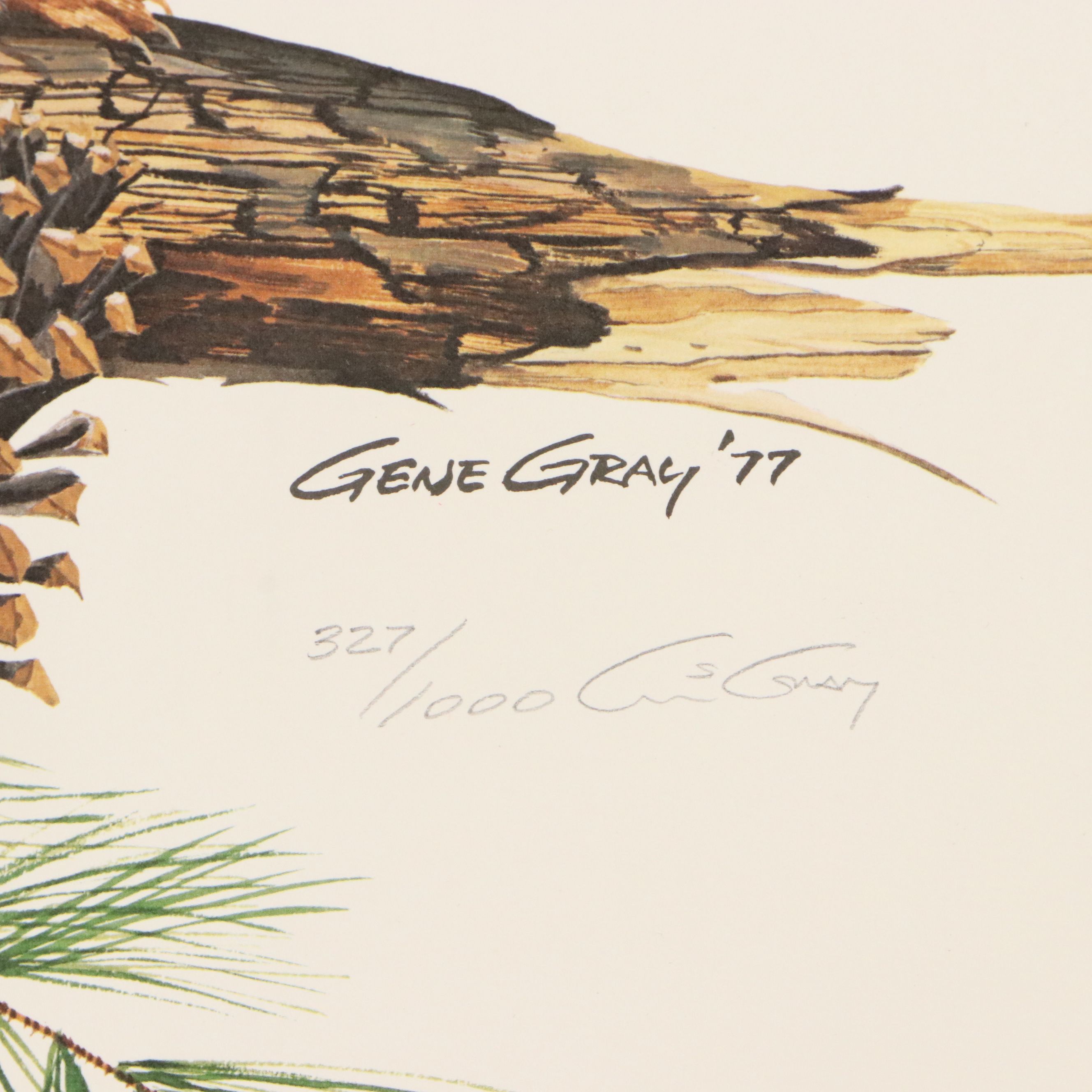 Gene Gray Green River Offset Lithograph "Red Squirrel"