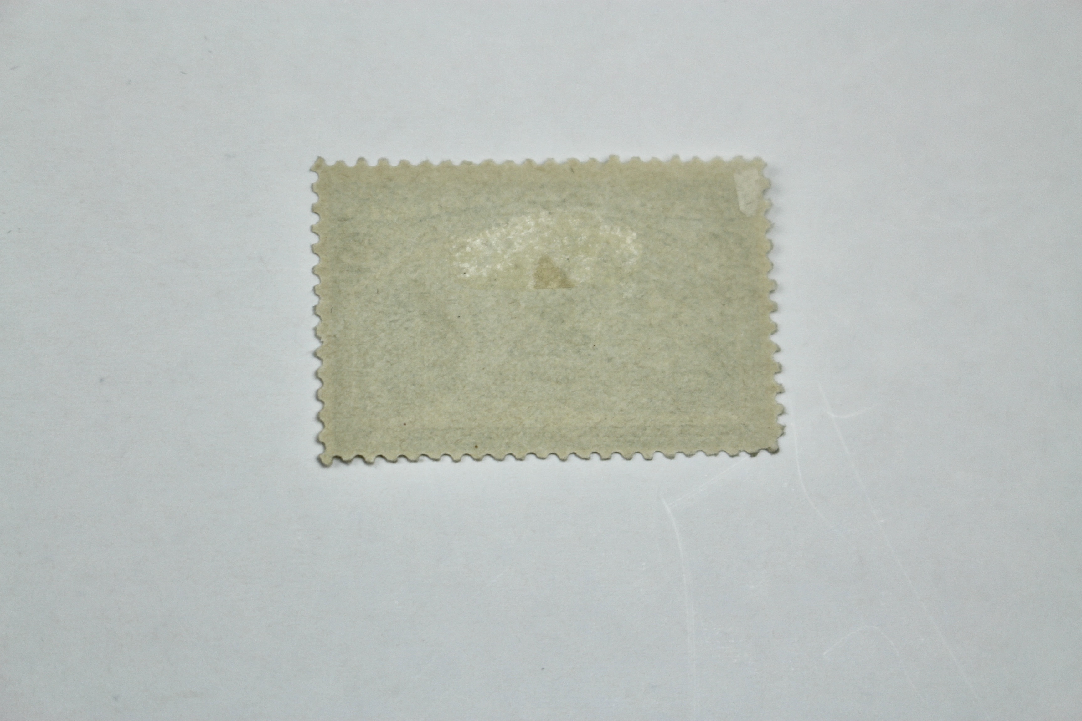 Two 1893 Columbian Exposition Postage Stamps, Scott 236 and 238