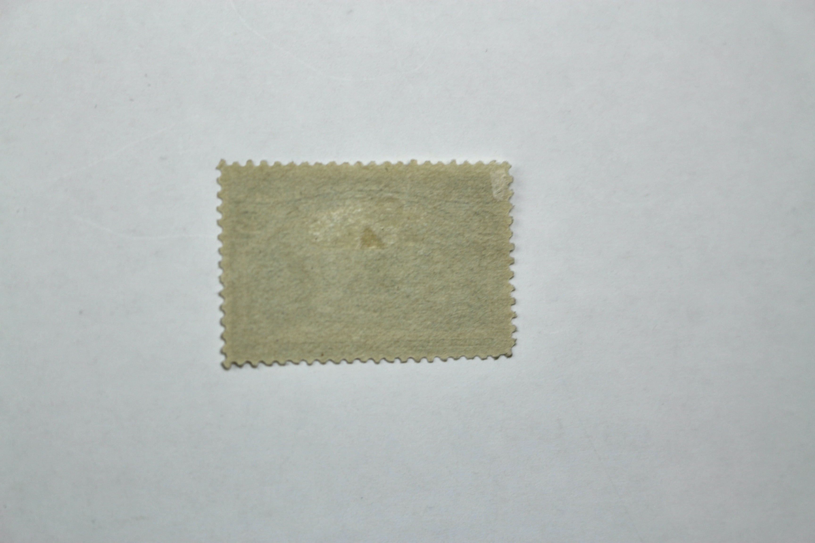 Two 1893 Columbian Exposition Postage Stamps, Scott 236 and 238