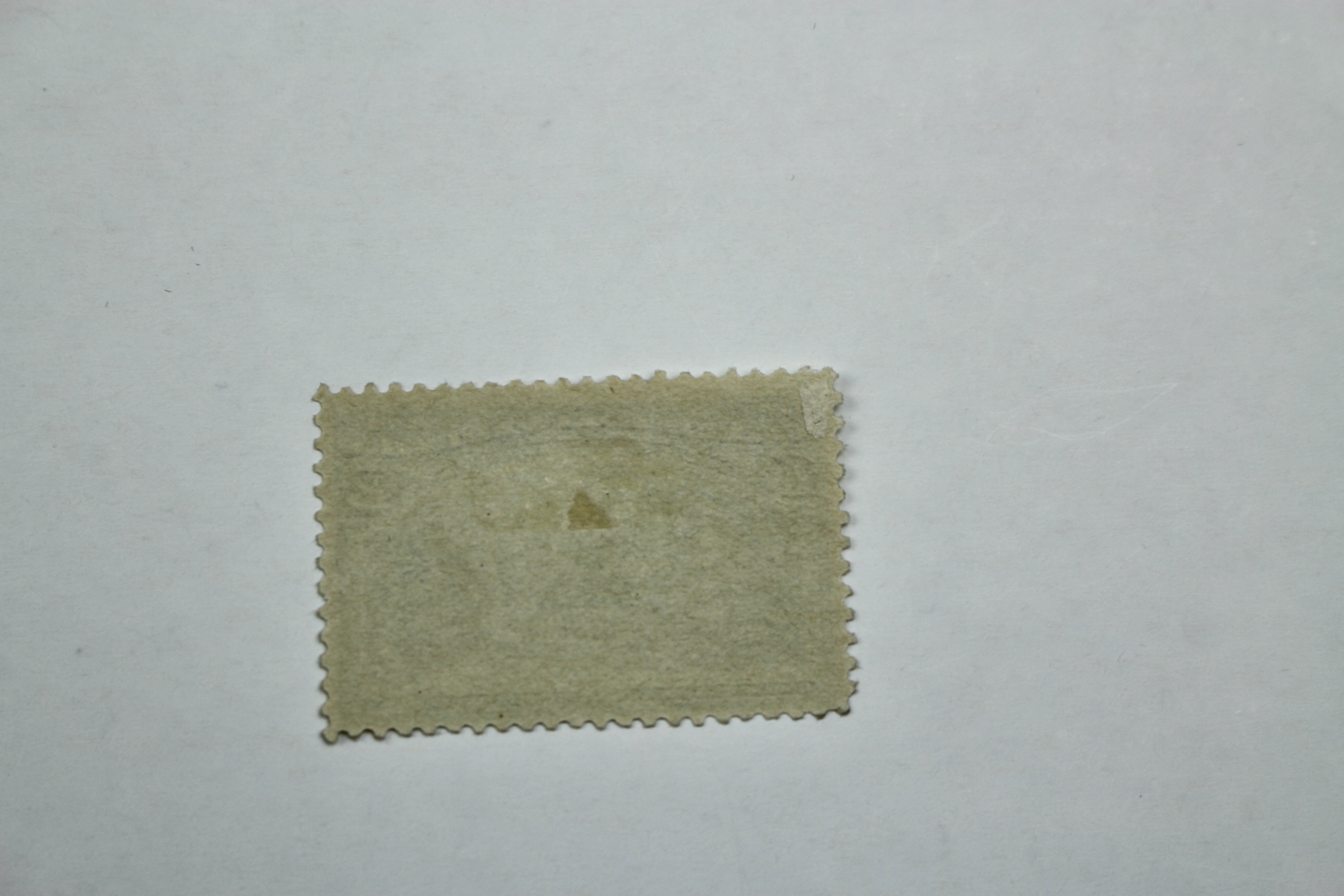 Two 1893 Columbian Exposition Postage Stamps, Scott 236 and 238