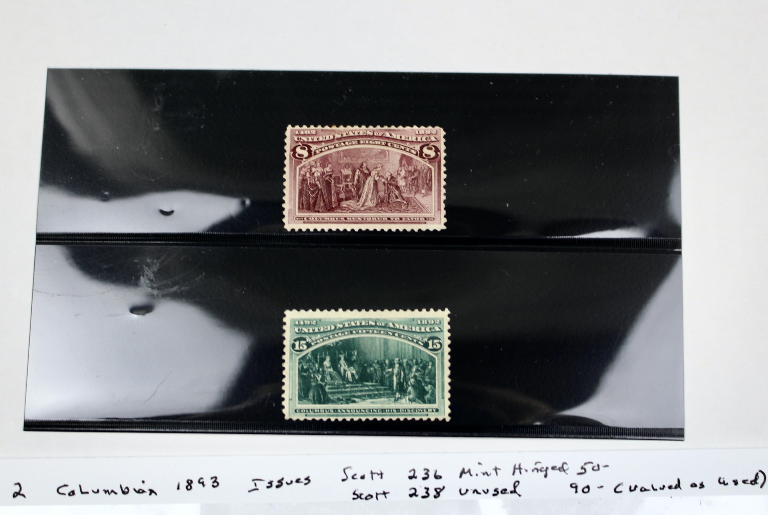 Two 1893 Columbian Exposition Postage Stamps, Scott 236 and 238