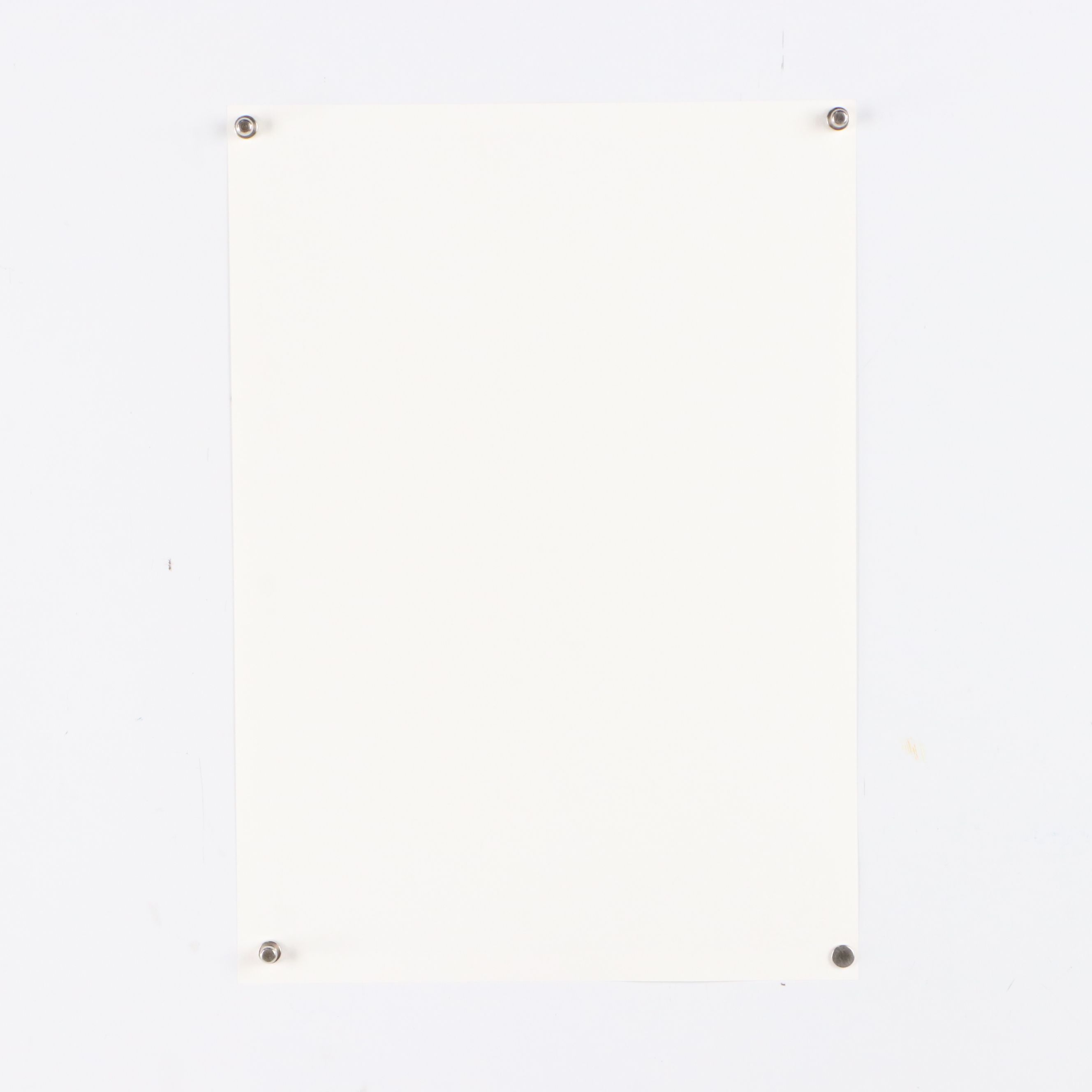 Death NYC Pop Art Digital Print of Cats After Klimt "The Kiss," 2024