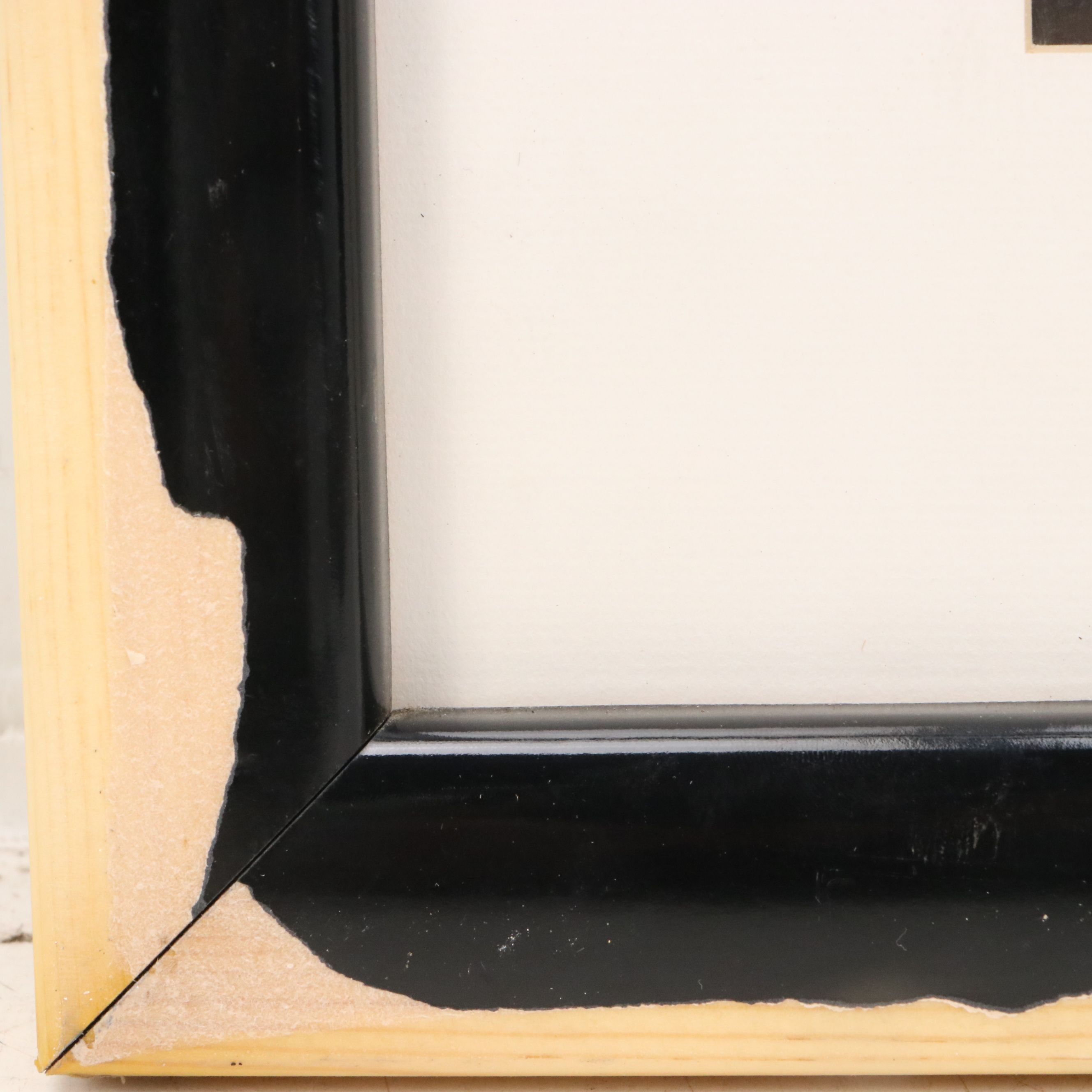 Accordion-Folded Digital Print of Naïve Style Nature Scenes, 21st Century