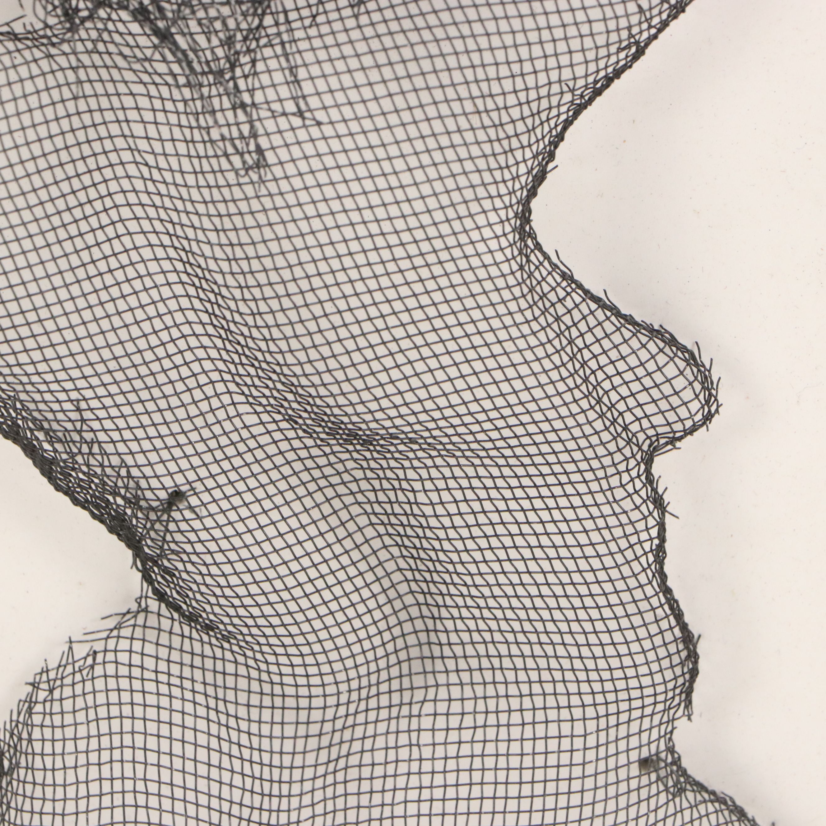 Peter Robinson-Smith Wire Mesh Bas-Relief Sculpture "After the Bath," 2005