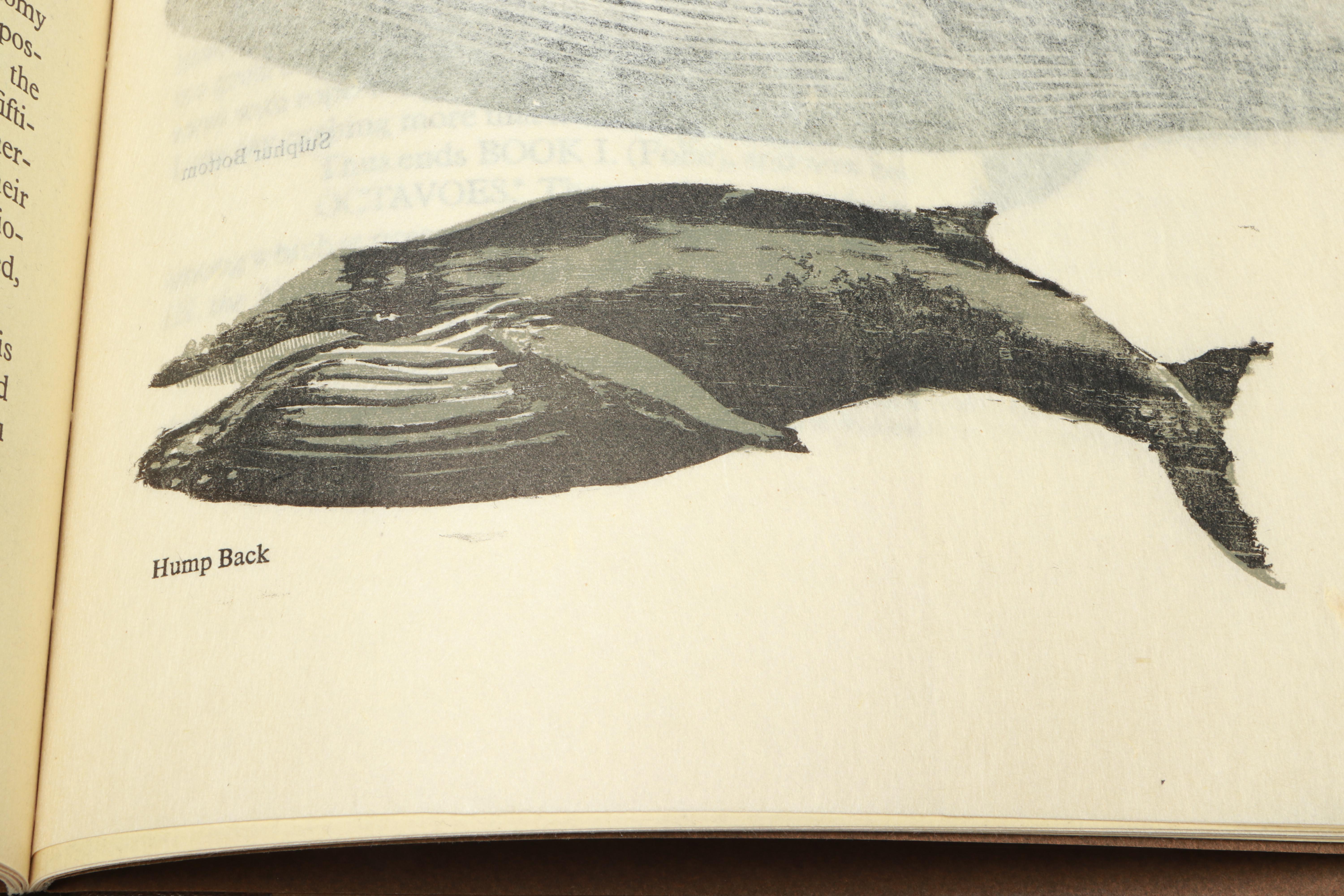 Limited Edition "Cetology" by Herman Melville, 1973