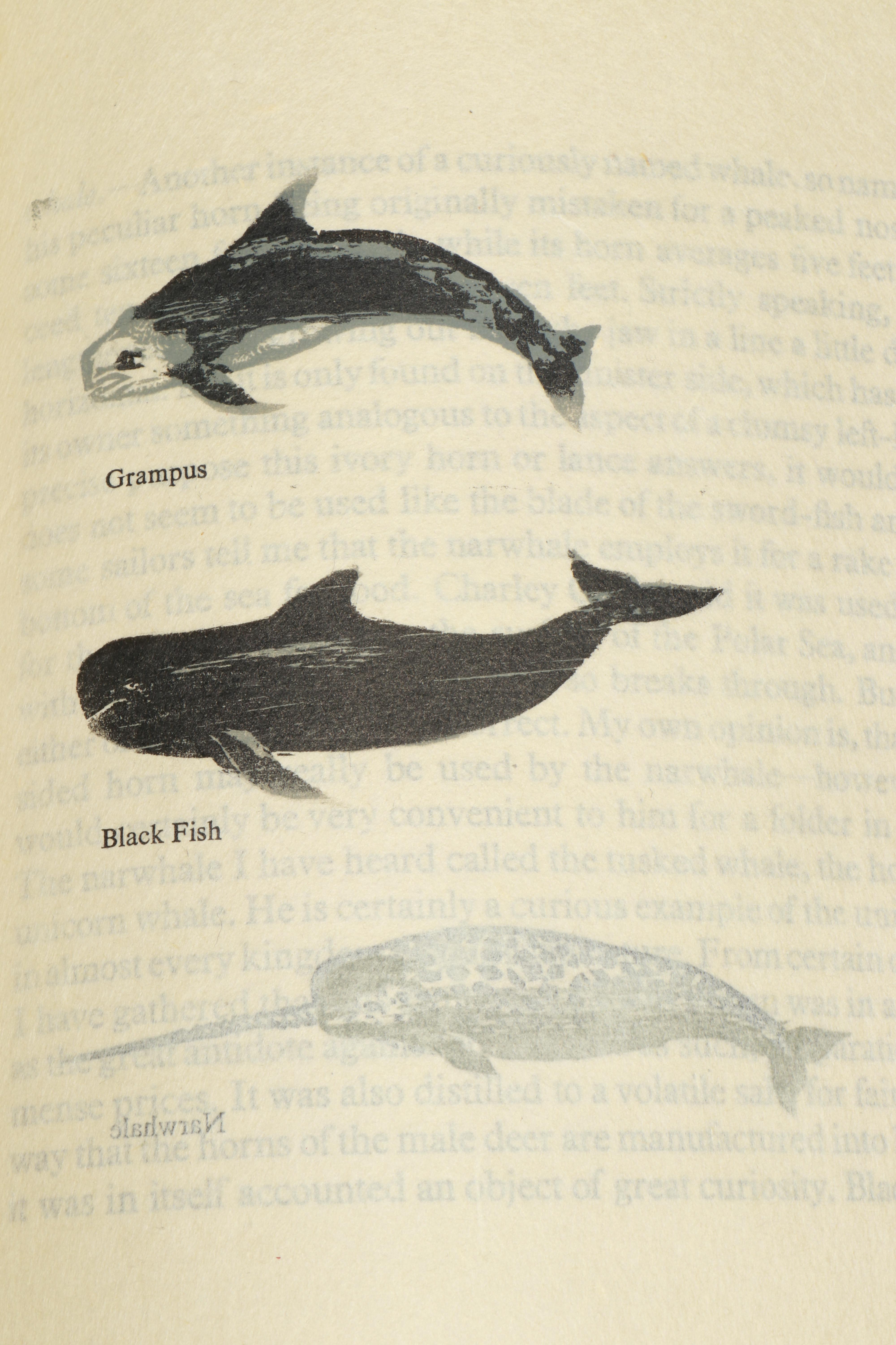 Limited Edition "Cetology" by Herman Melville, 1973