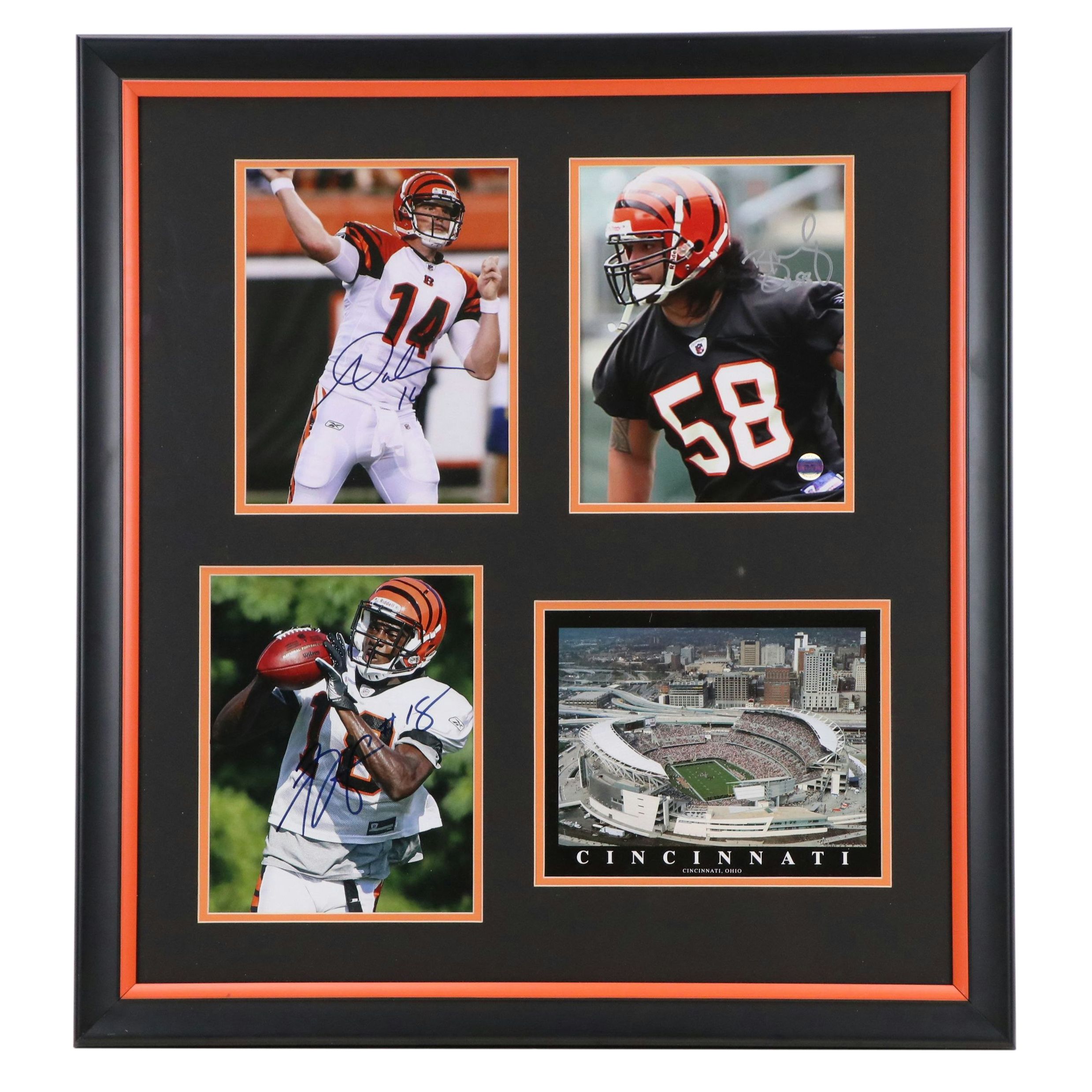 Andy Dalton, A. J. Green, and Rey Maualuga Signed Cincinnati Bengals Display