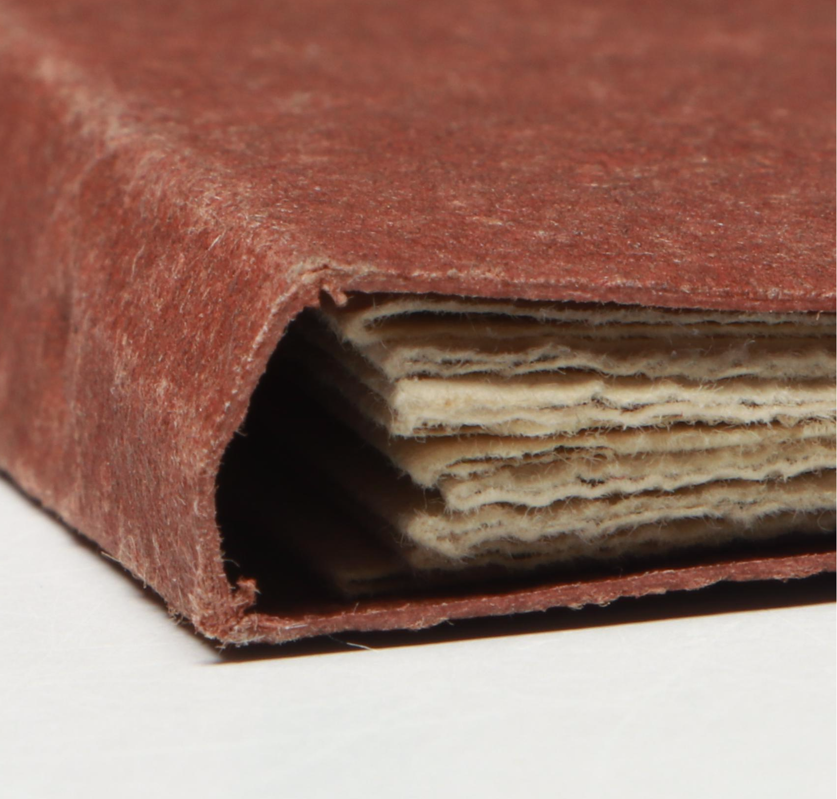 Signed Karen Kunc Illustrated "On This Land" by Lenora Castillo, 1996