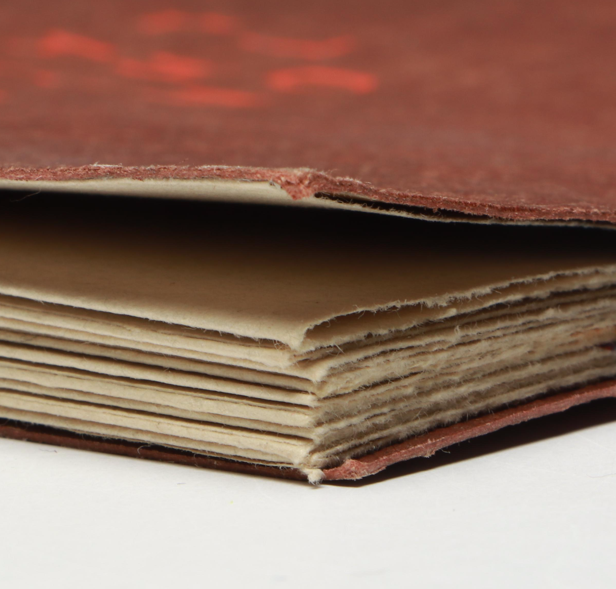 Signed Karen Kunc Illustrated "On This Land" by Lenora Castillo, 1996