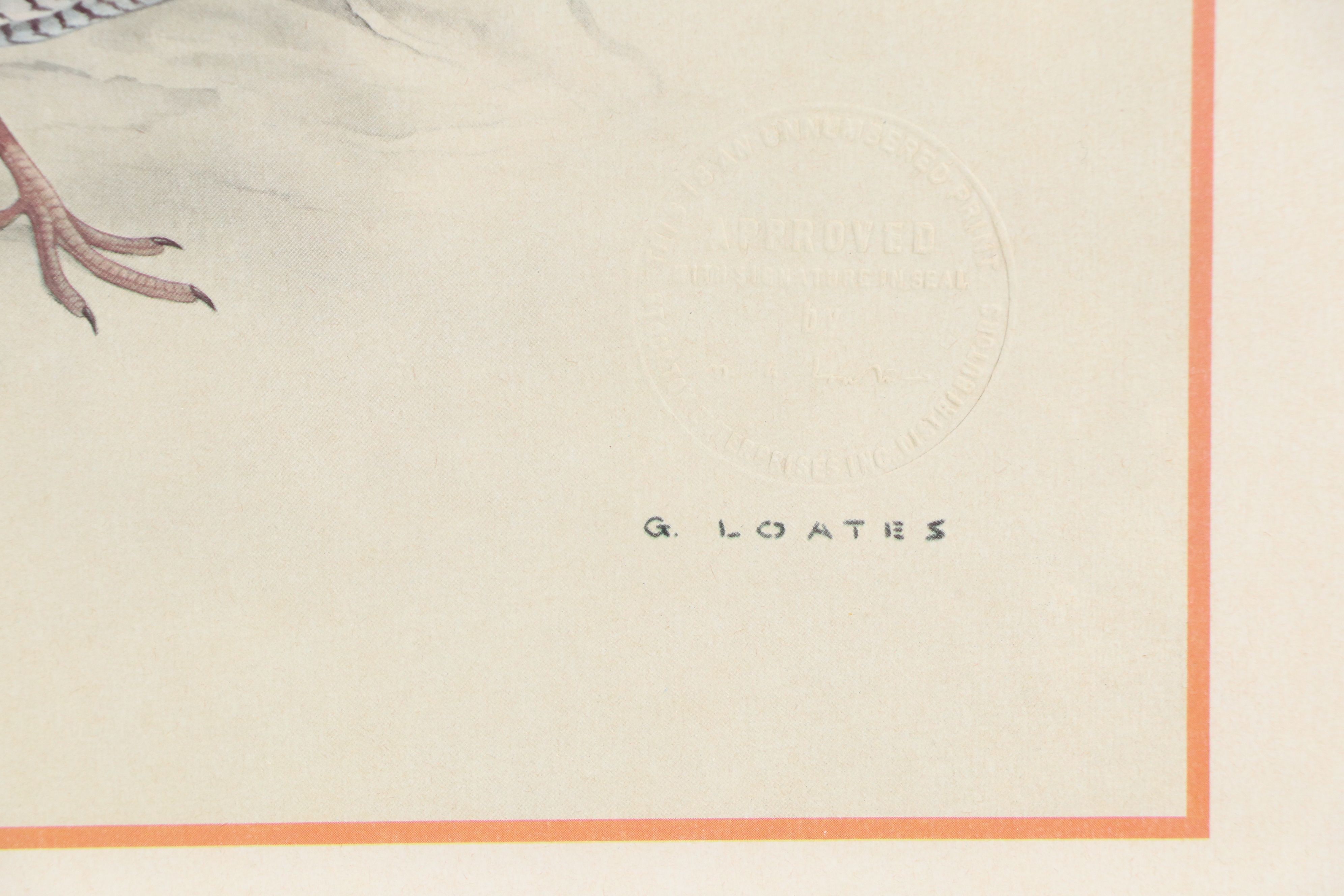 After Glen Loates Offset Lithograph "Bob White," 1969