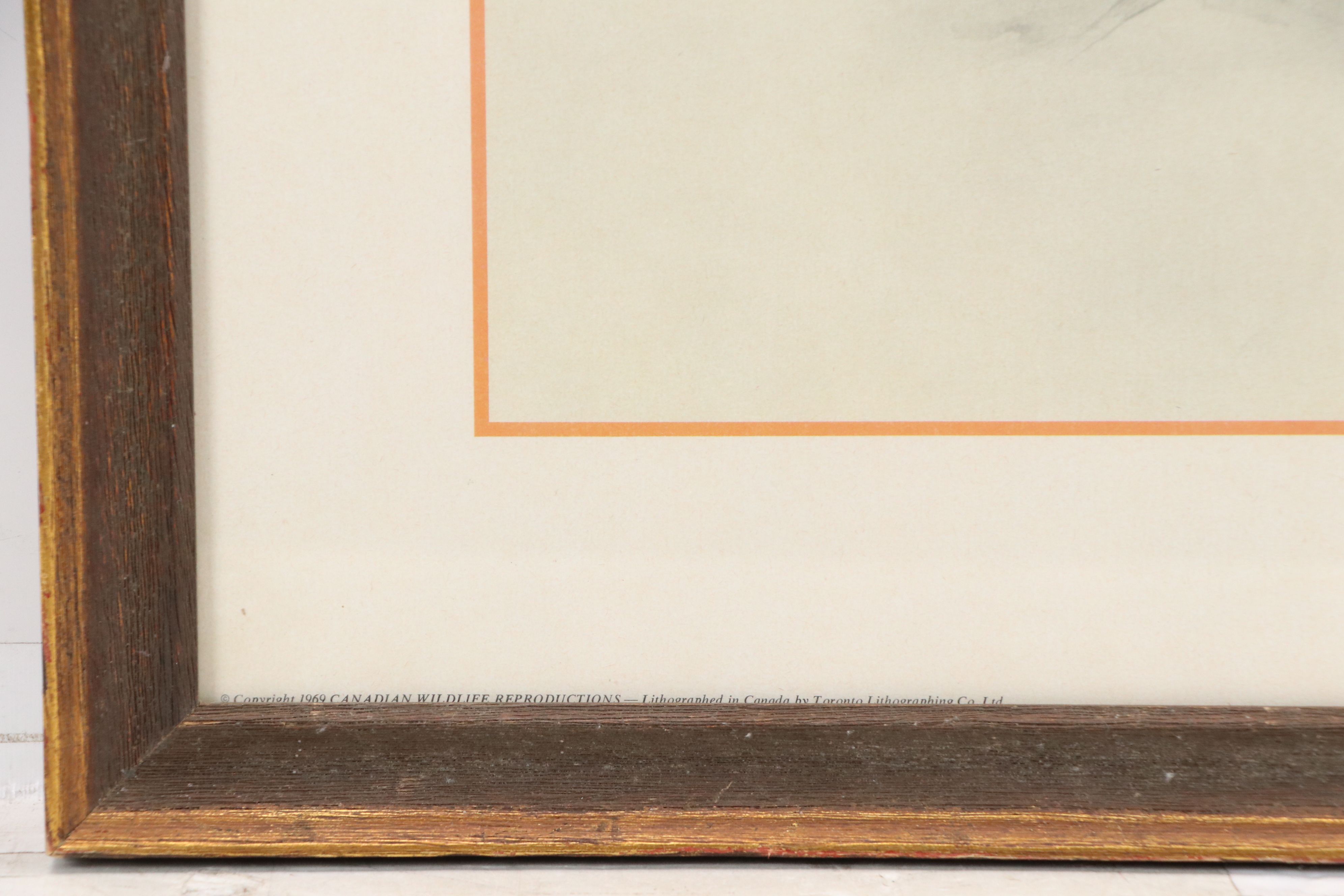 After Glen Loates Offset Lithograph "Bob White," 1969