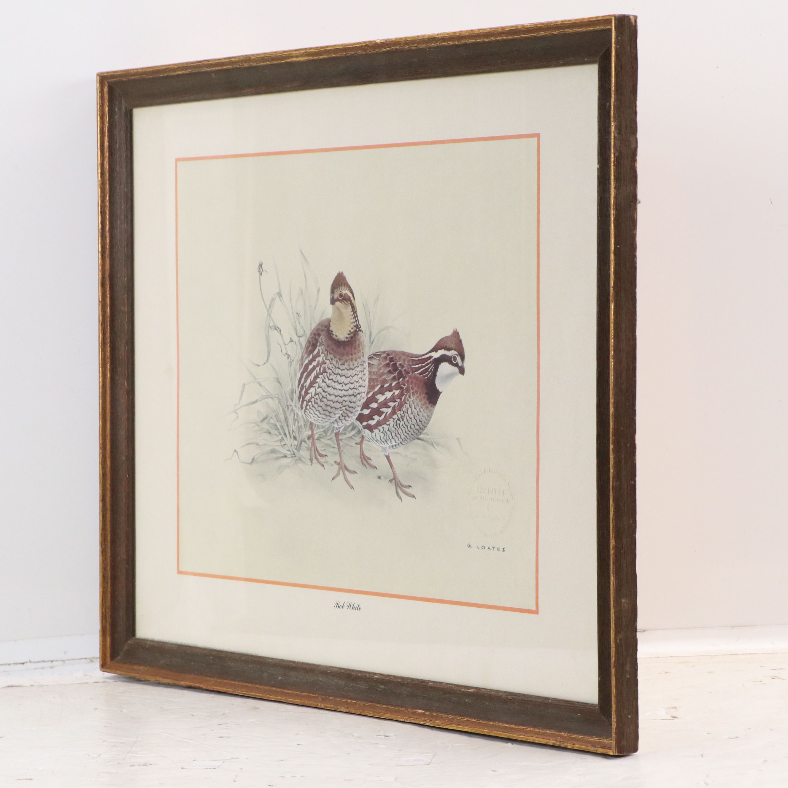 After Glen Loates Offset Lithograph "Bob White," 1969