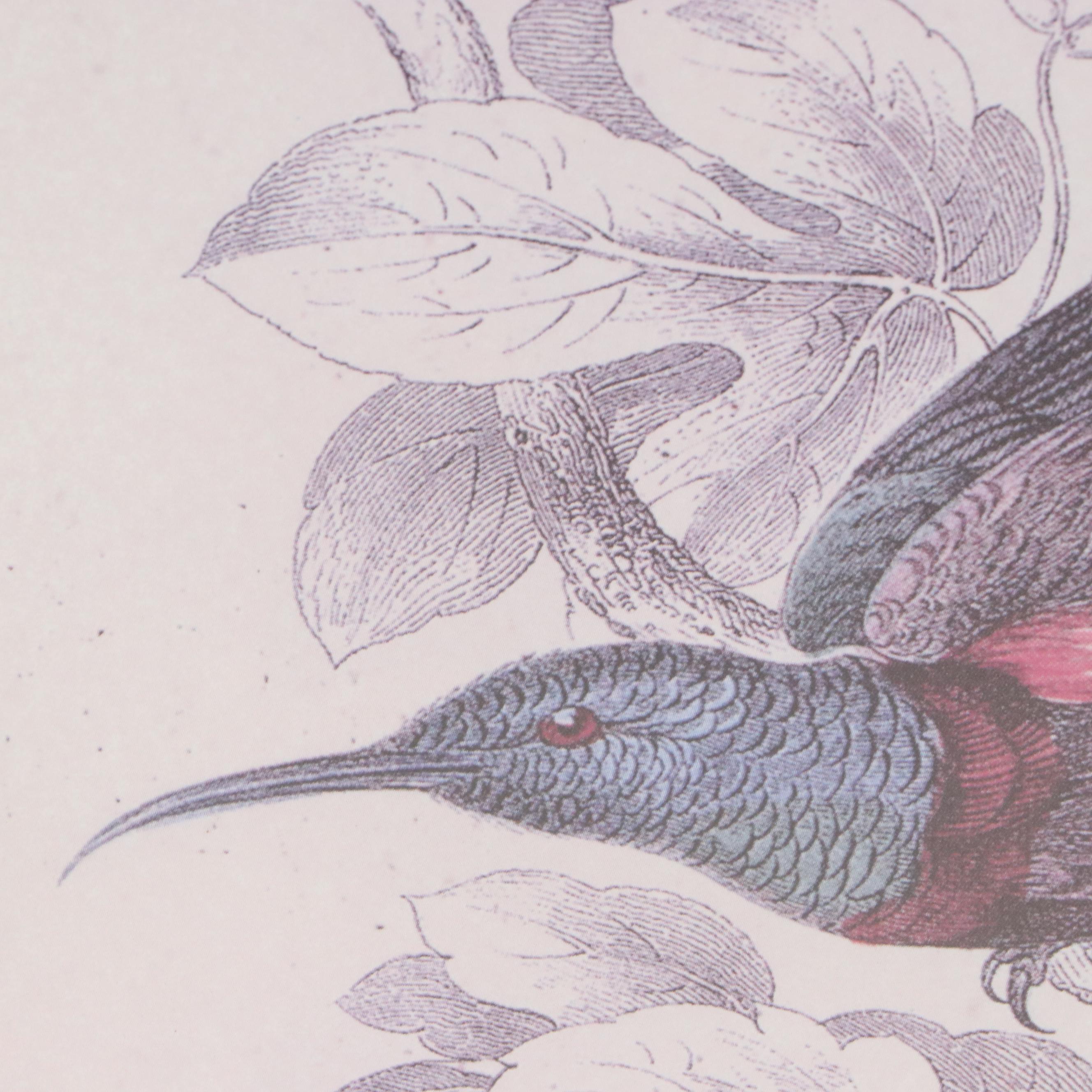 Offset Lithographs of Vintage Bird Drawings, 21st Century
