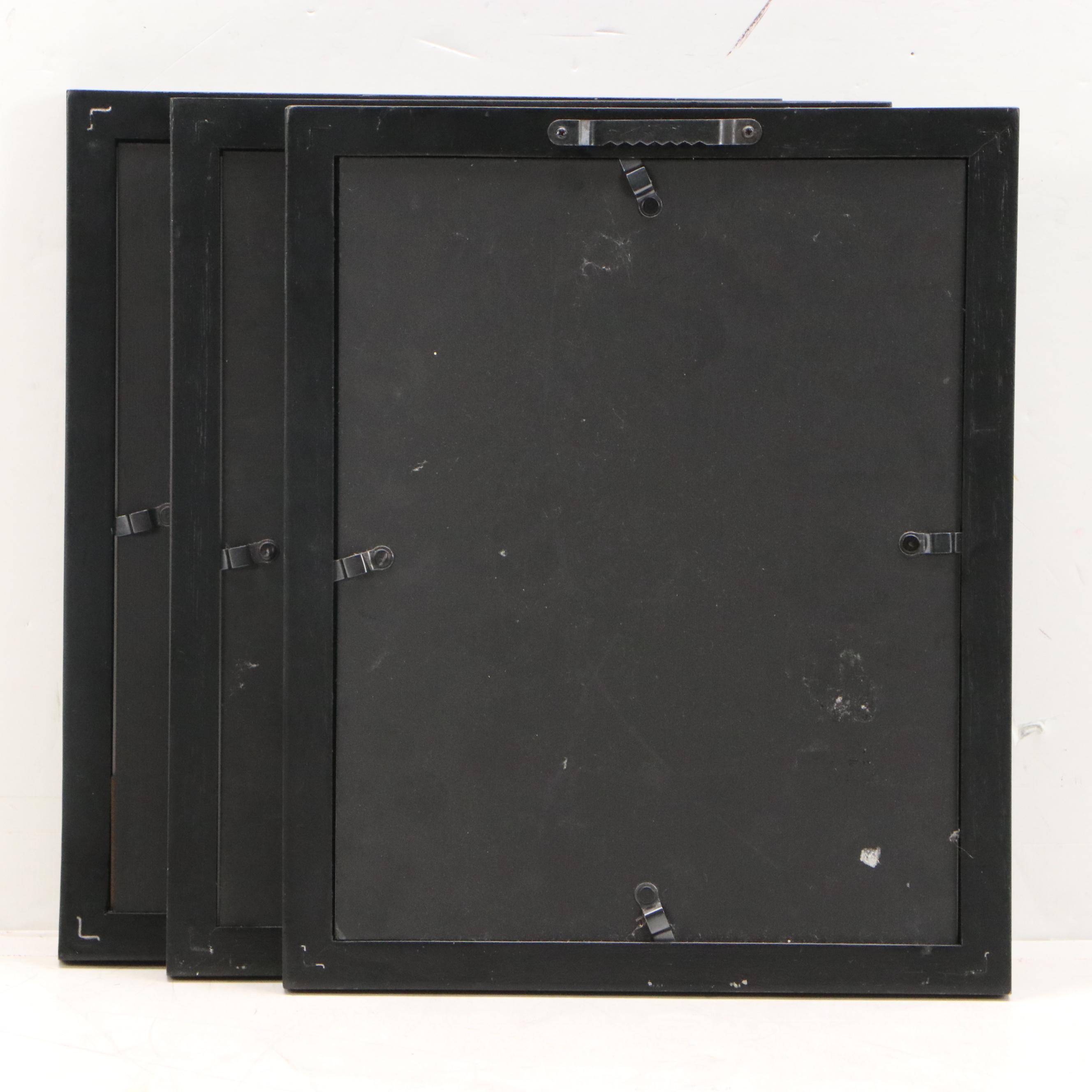 Offset Lithographs of Vintage Bird Drawings, 21st Century