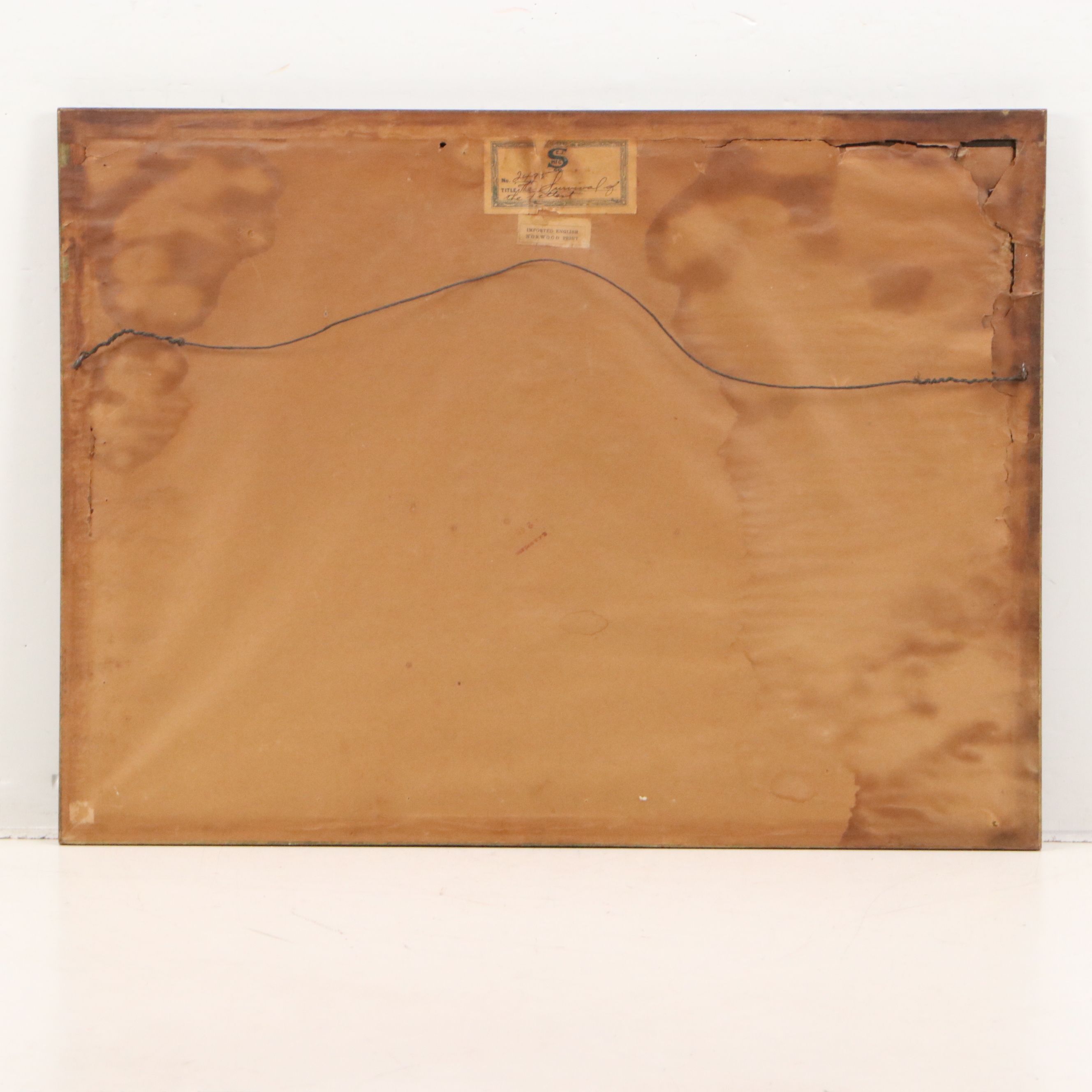 Collotype After George Wright "Survival of the Fittest," Early 20th Century