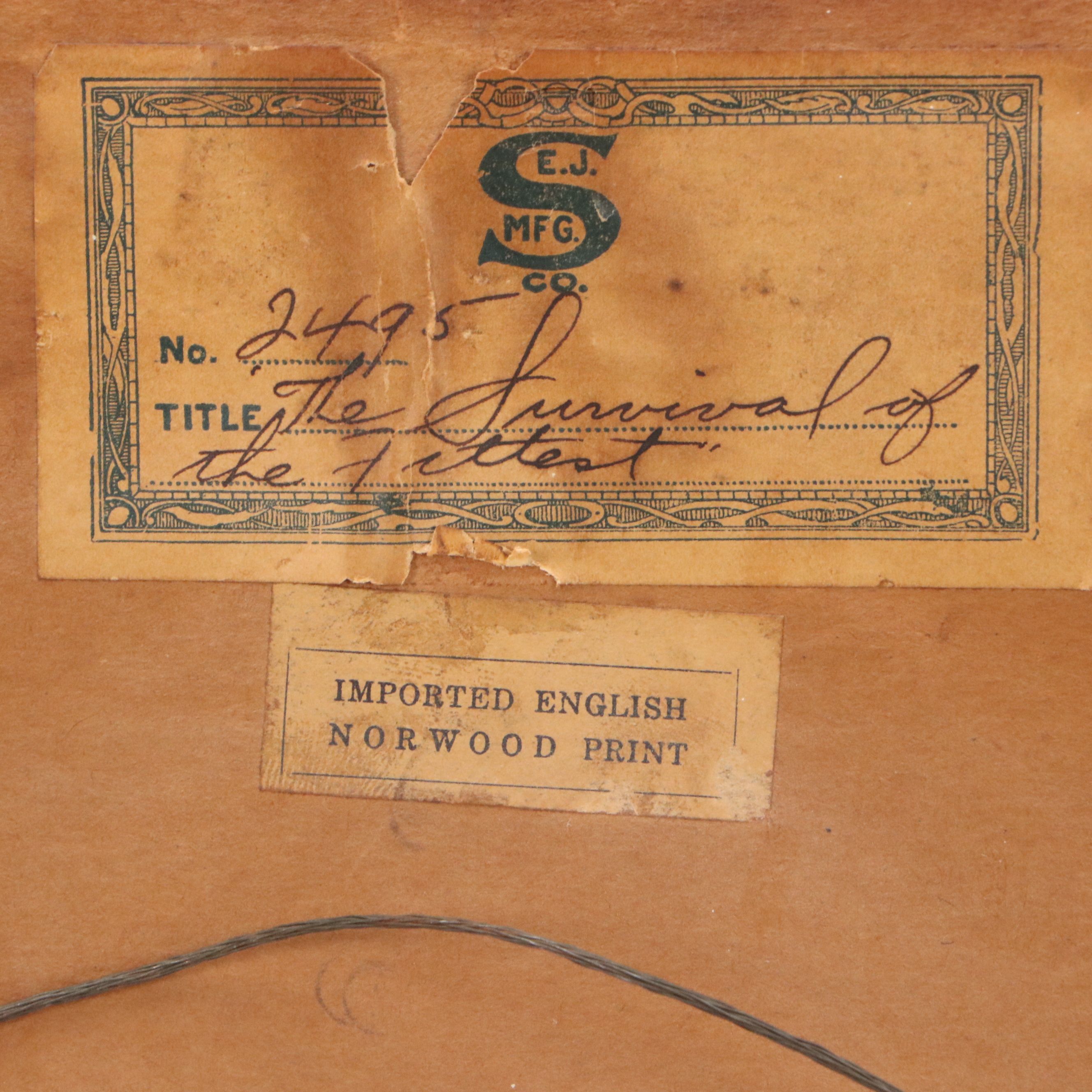 Collotype After George Wright "Survival of the Fittest," Early 20th Century