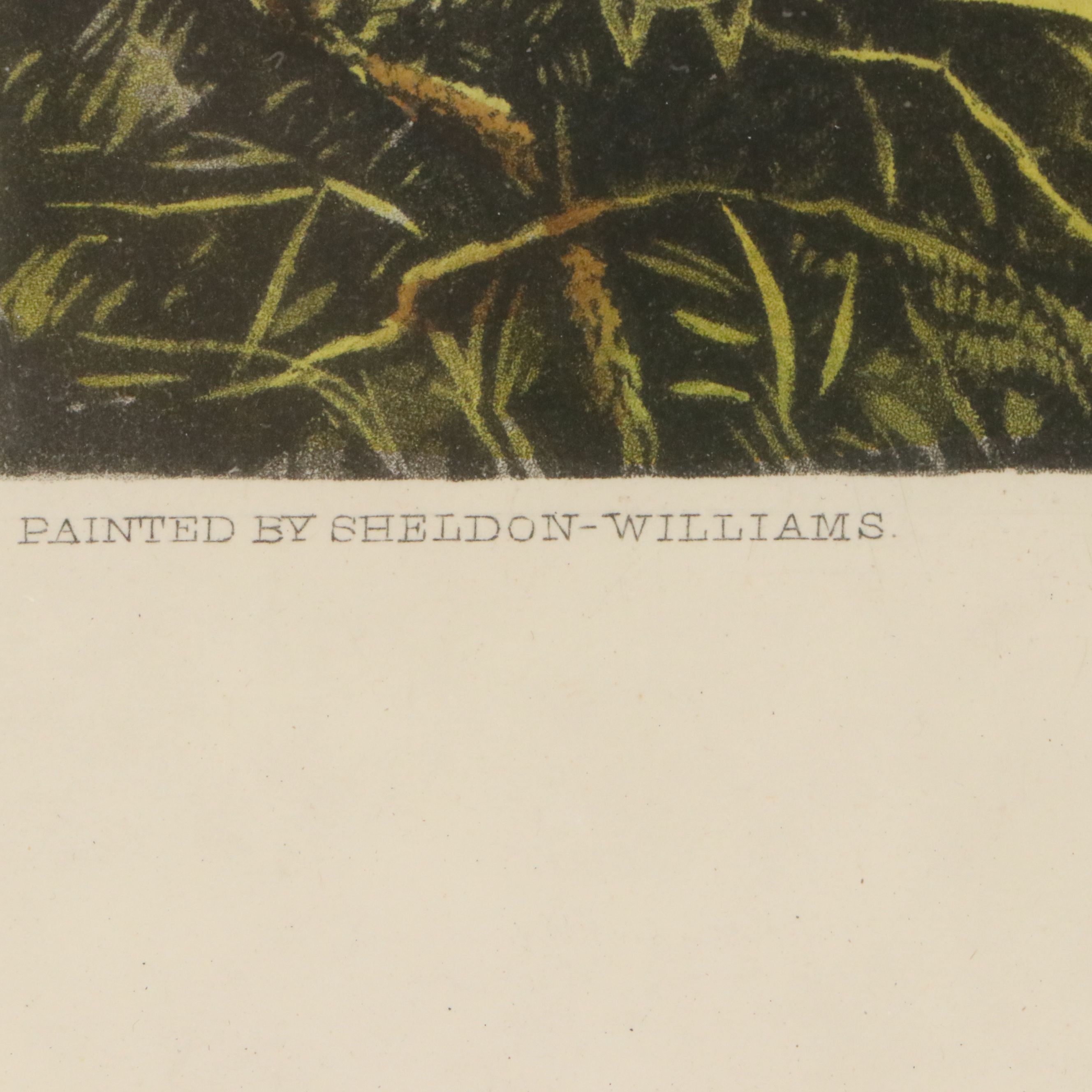 Hand-Colored Aquatint Etching After Inglis Sheldon-Williams "Gone Away!"