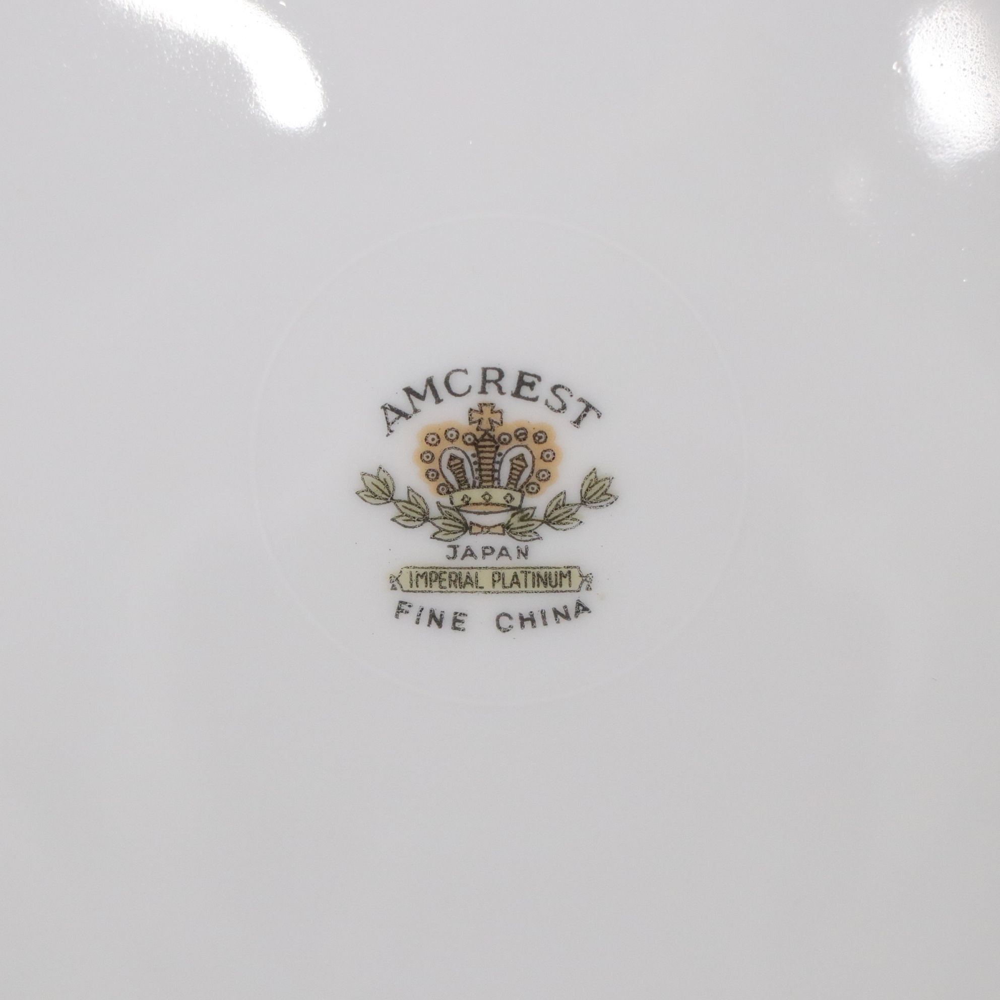 Amcrest "Imperial" Platinum Dinnerware Set for 12 with Extras