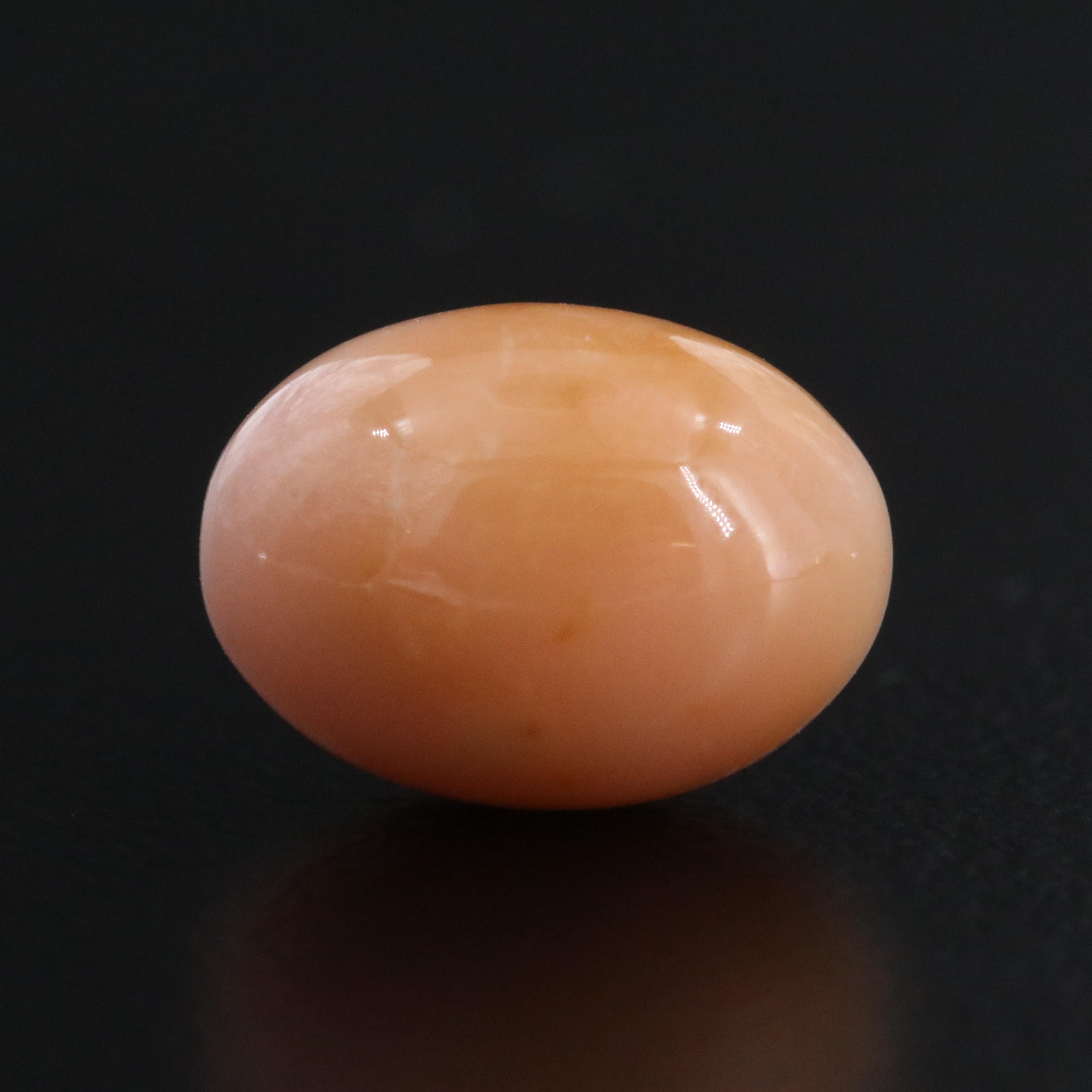 Loose 5.48 CT Conch Pearl
