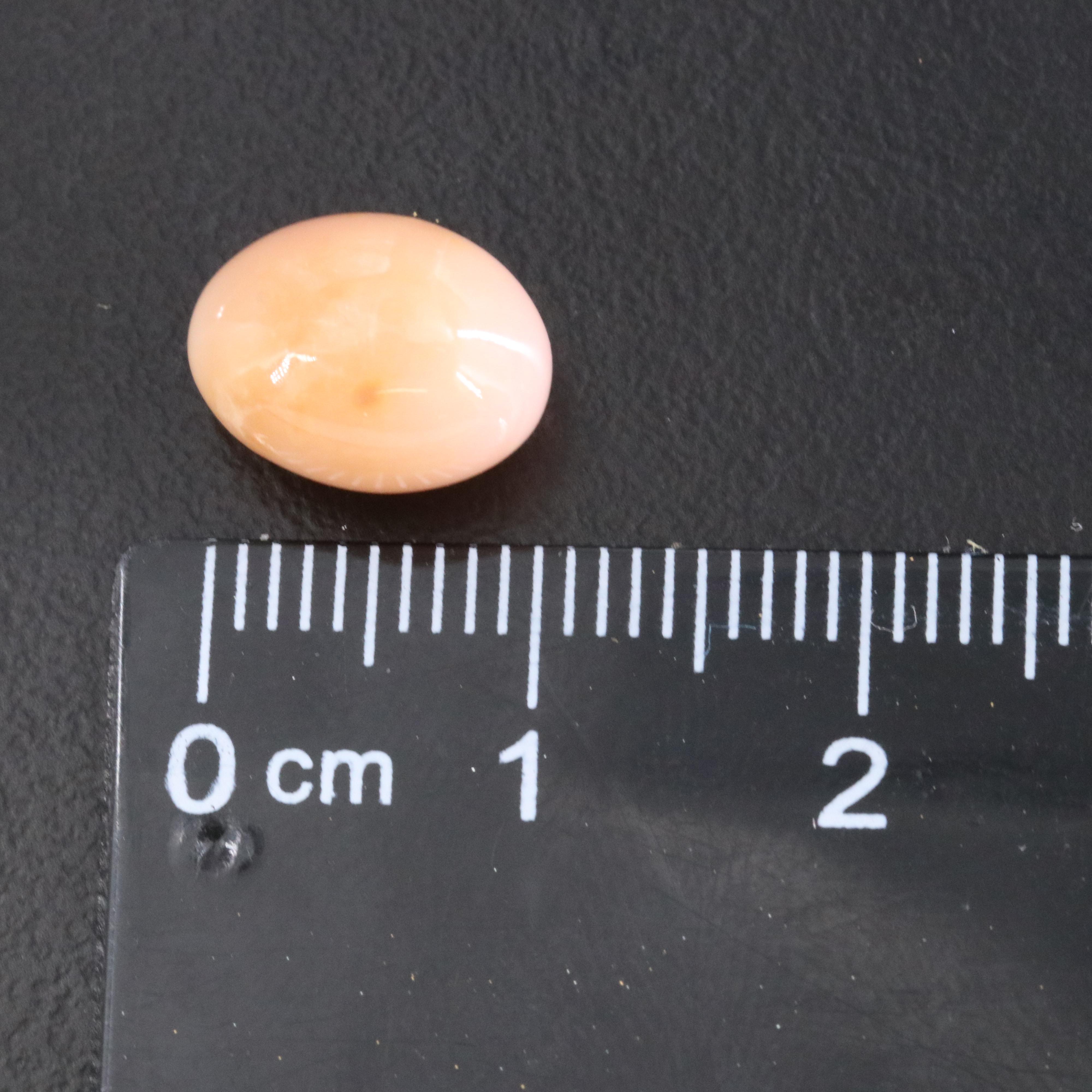 Loose 5.48 CT Conch Pearl