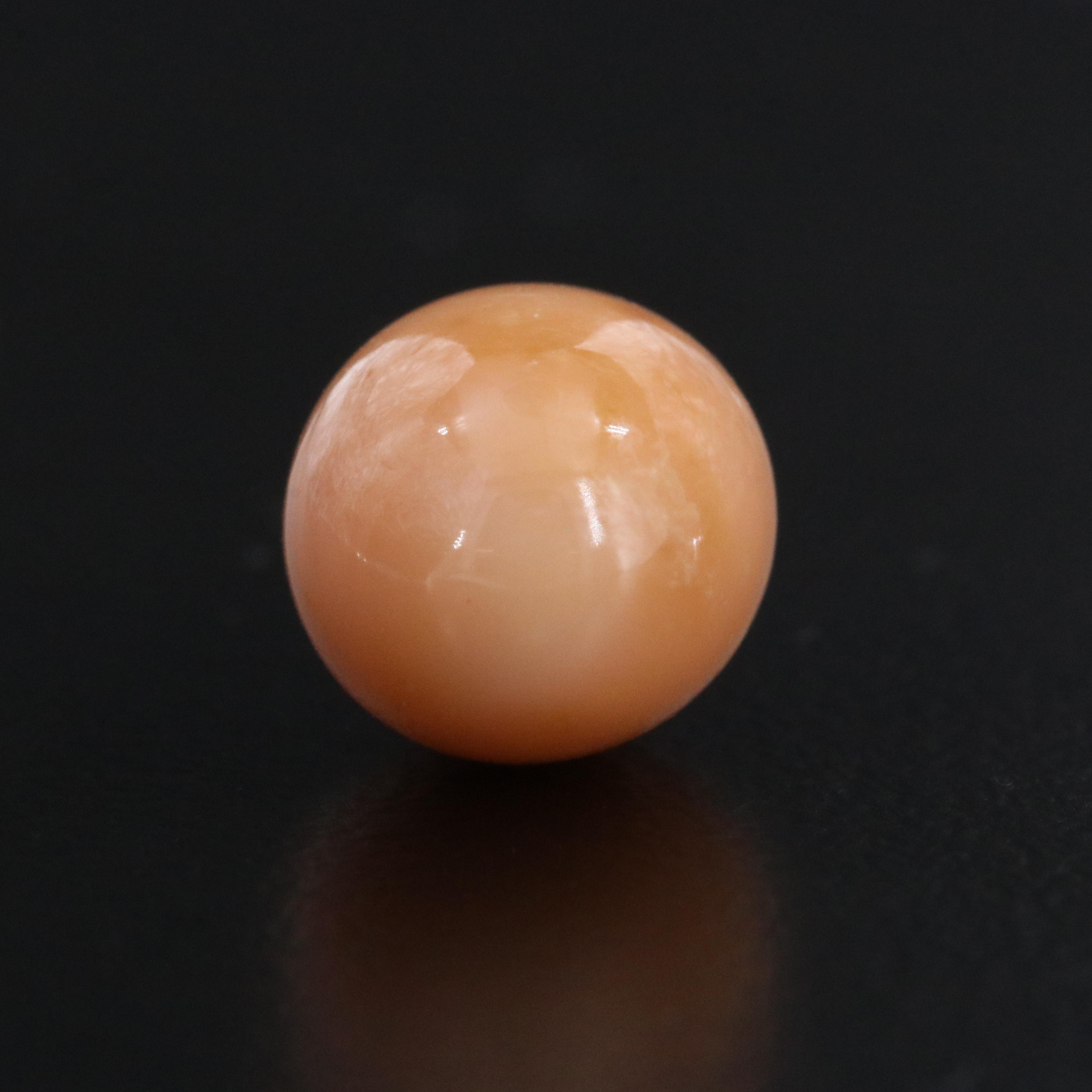 Loose 5.48 CT Conch Pearl