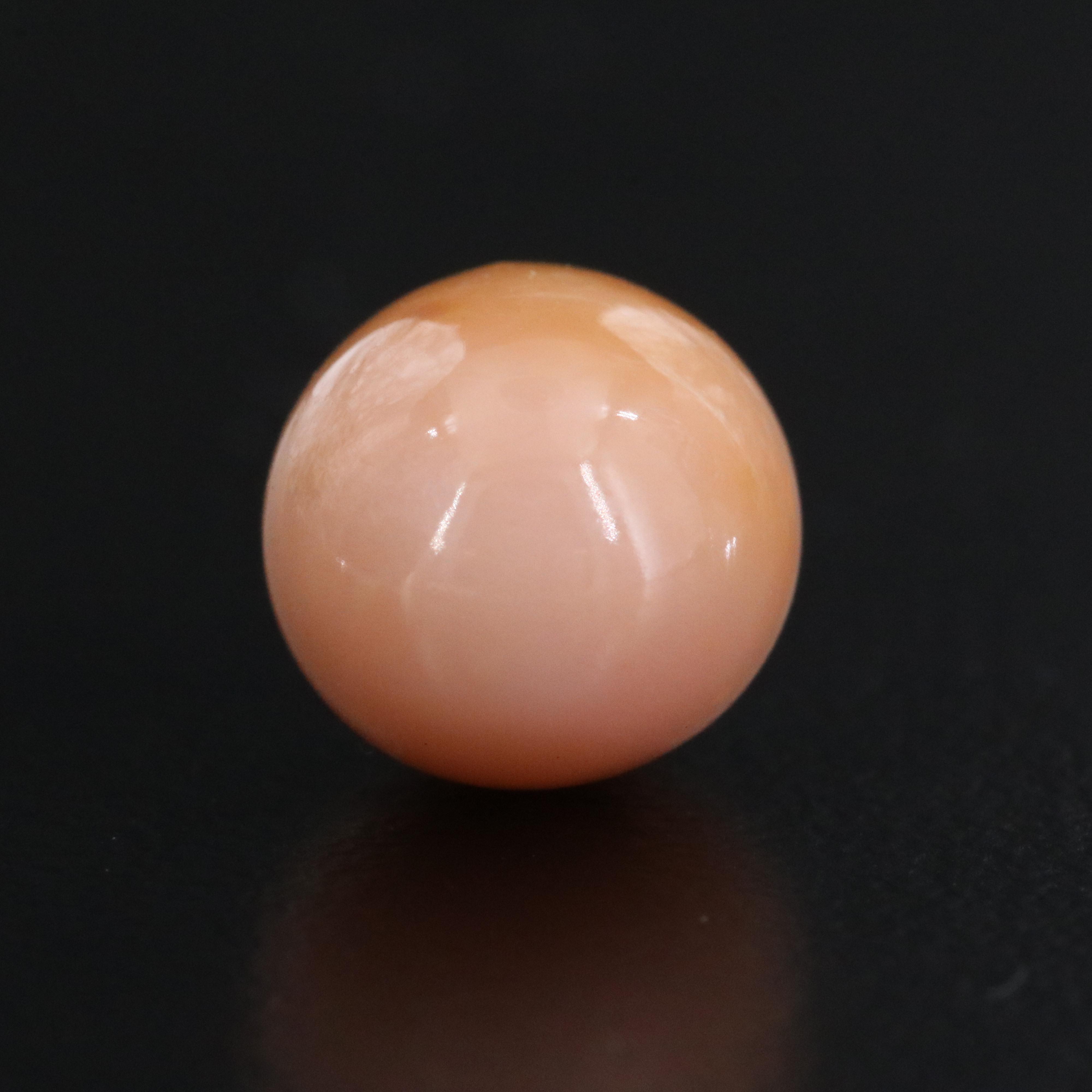 Loose 5.48 CT Conch Pearl