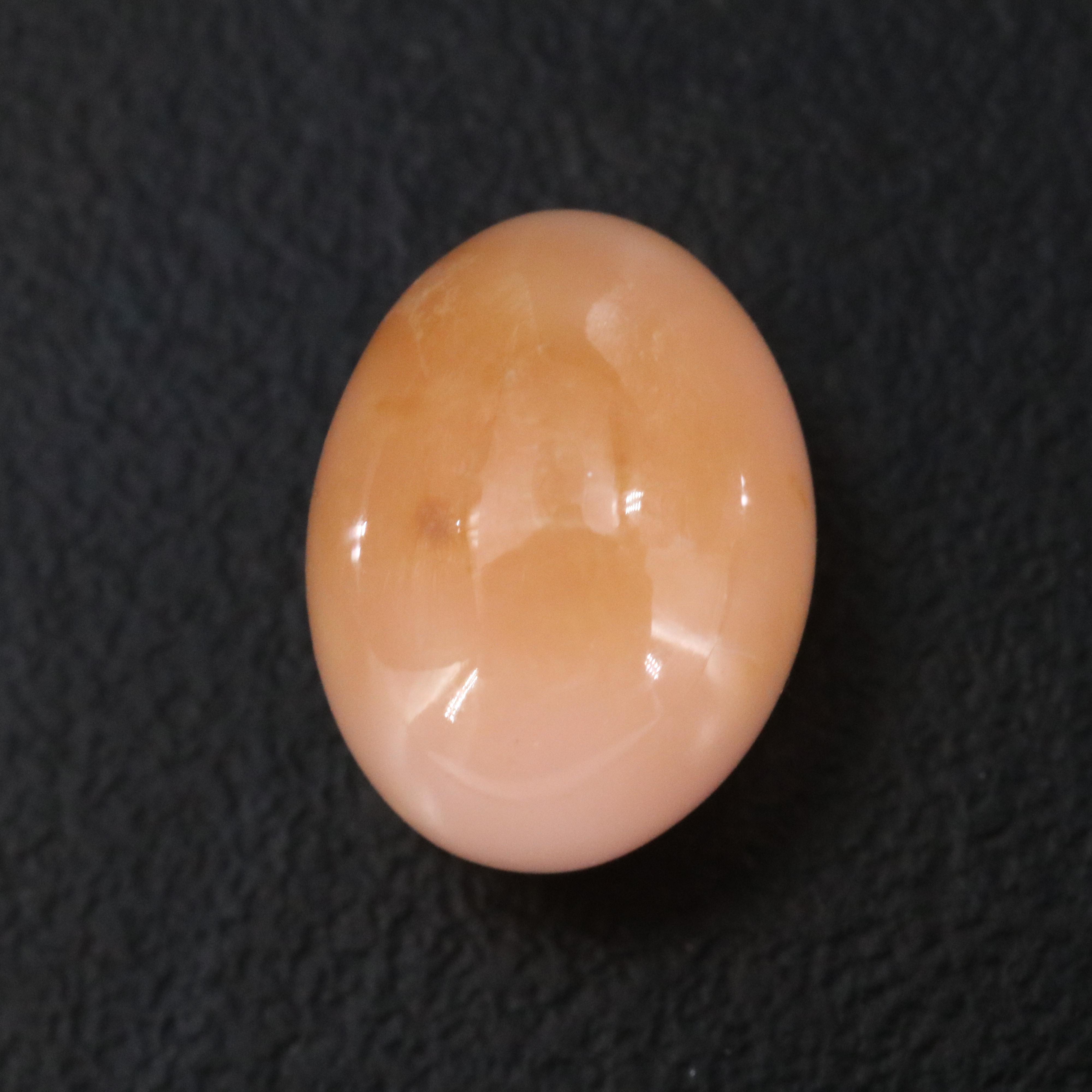 Loose 5.48 CT Conch Pearl