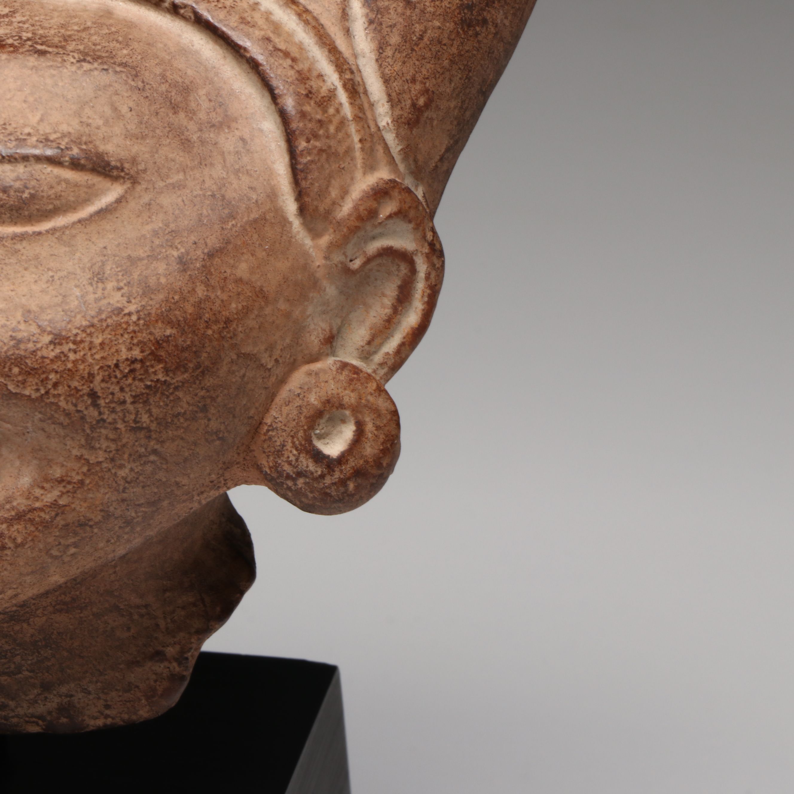 Alva Museum Replicas Museum of Natural History Mounted Reproduction