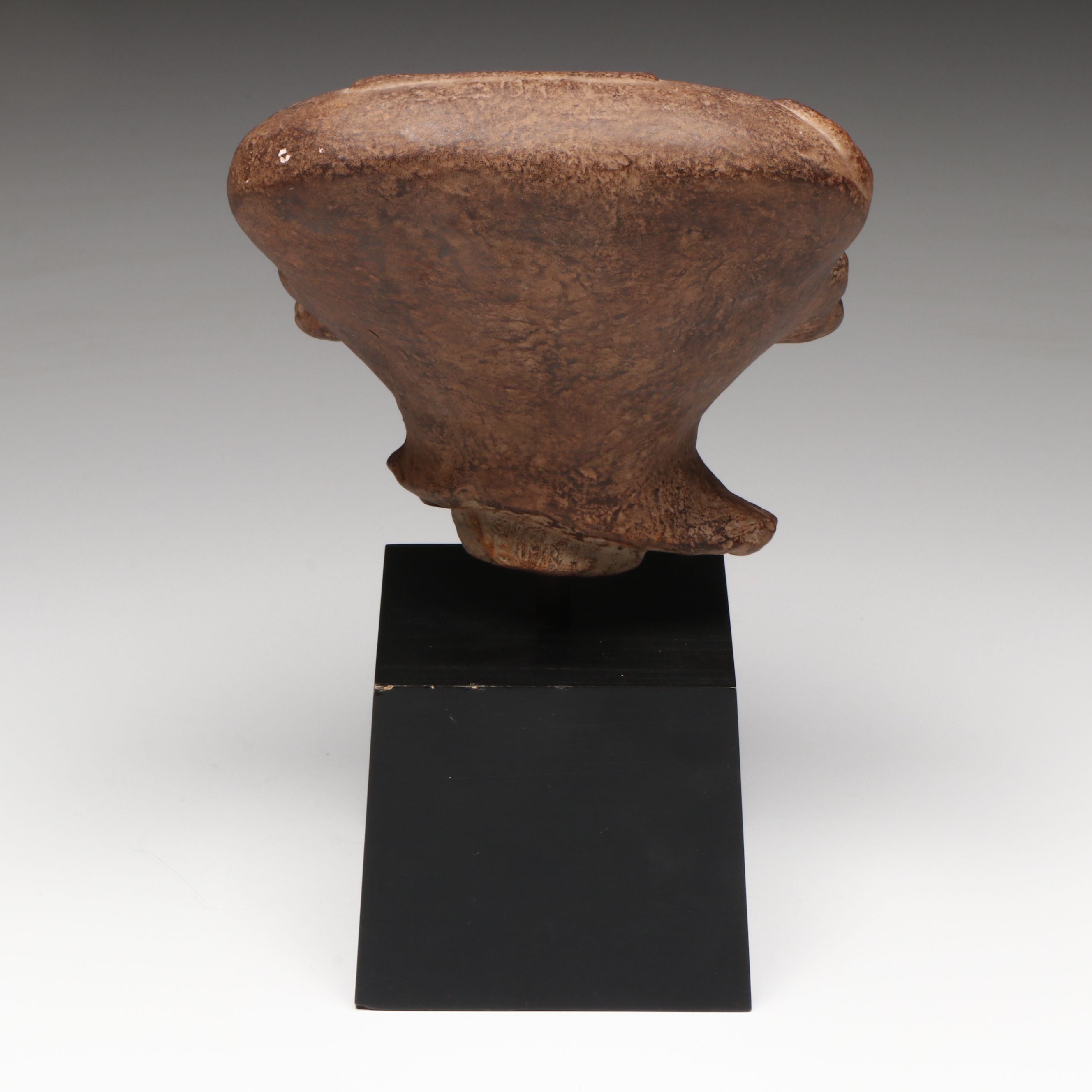 Alva Museum Replicas Museum of Natural History Mounted Reproduction