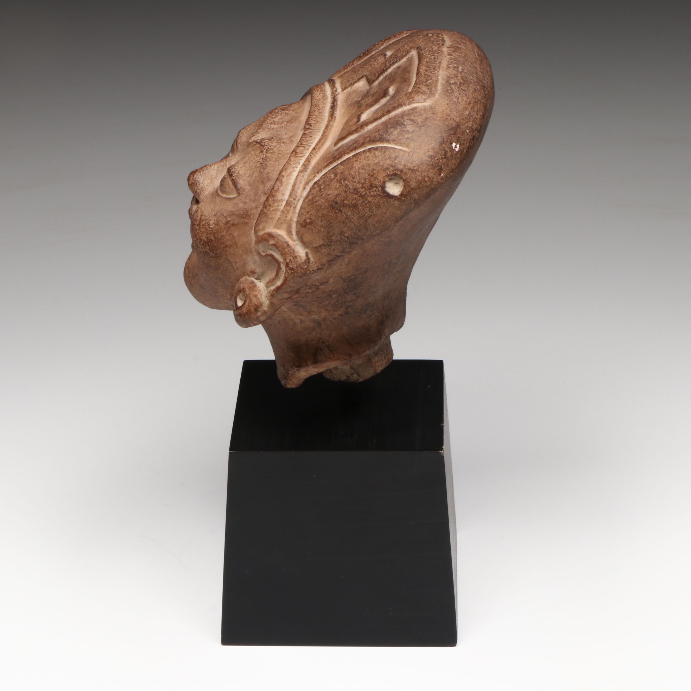 Alva Museum Replicas Museum of Natural History Mounted Reproduction