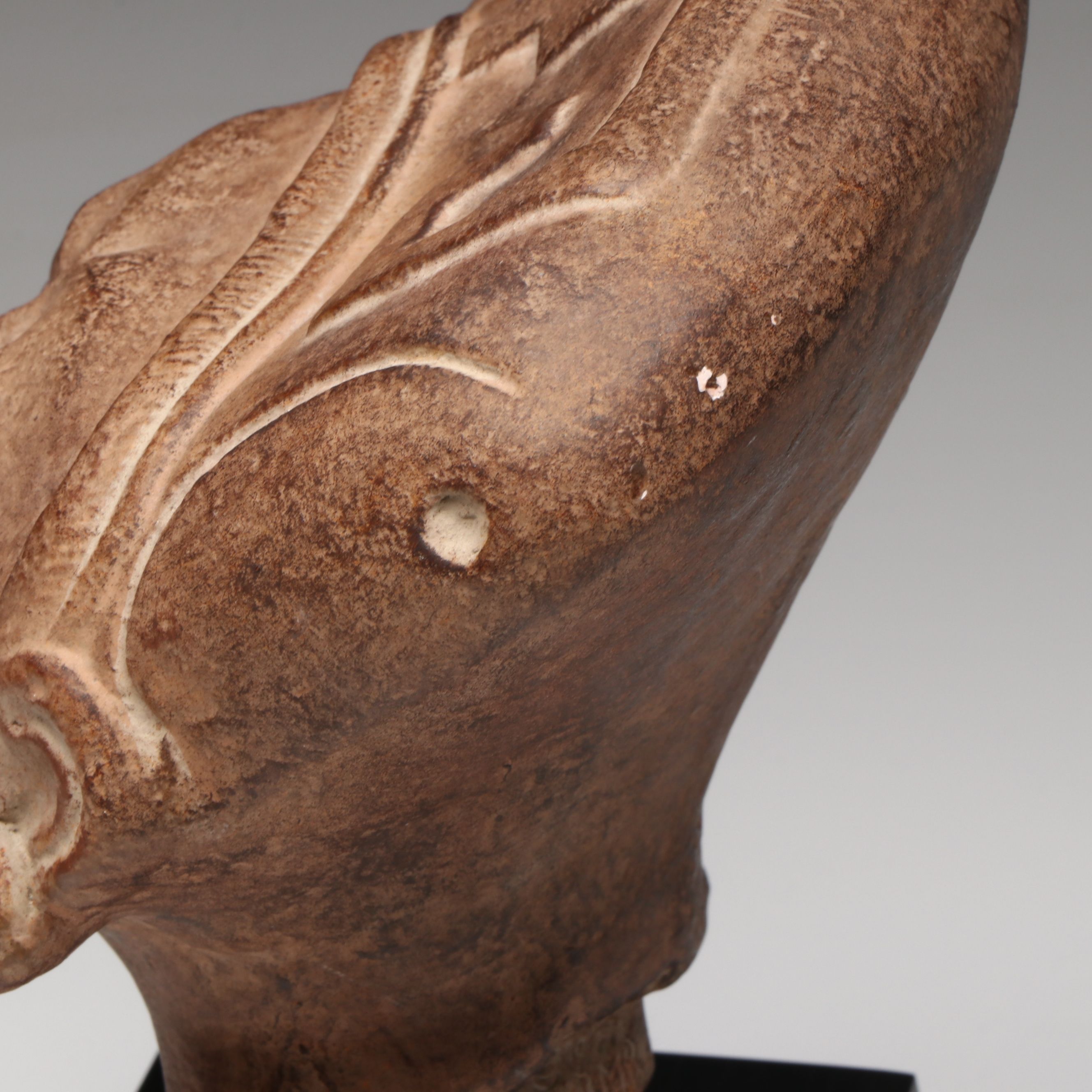 Alva Museum Replicas Museum of Natural History Mounted Reproduction