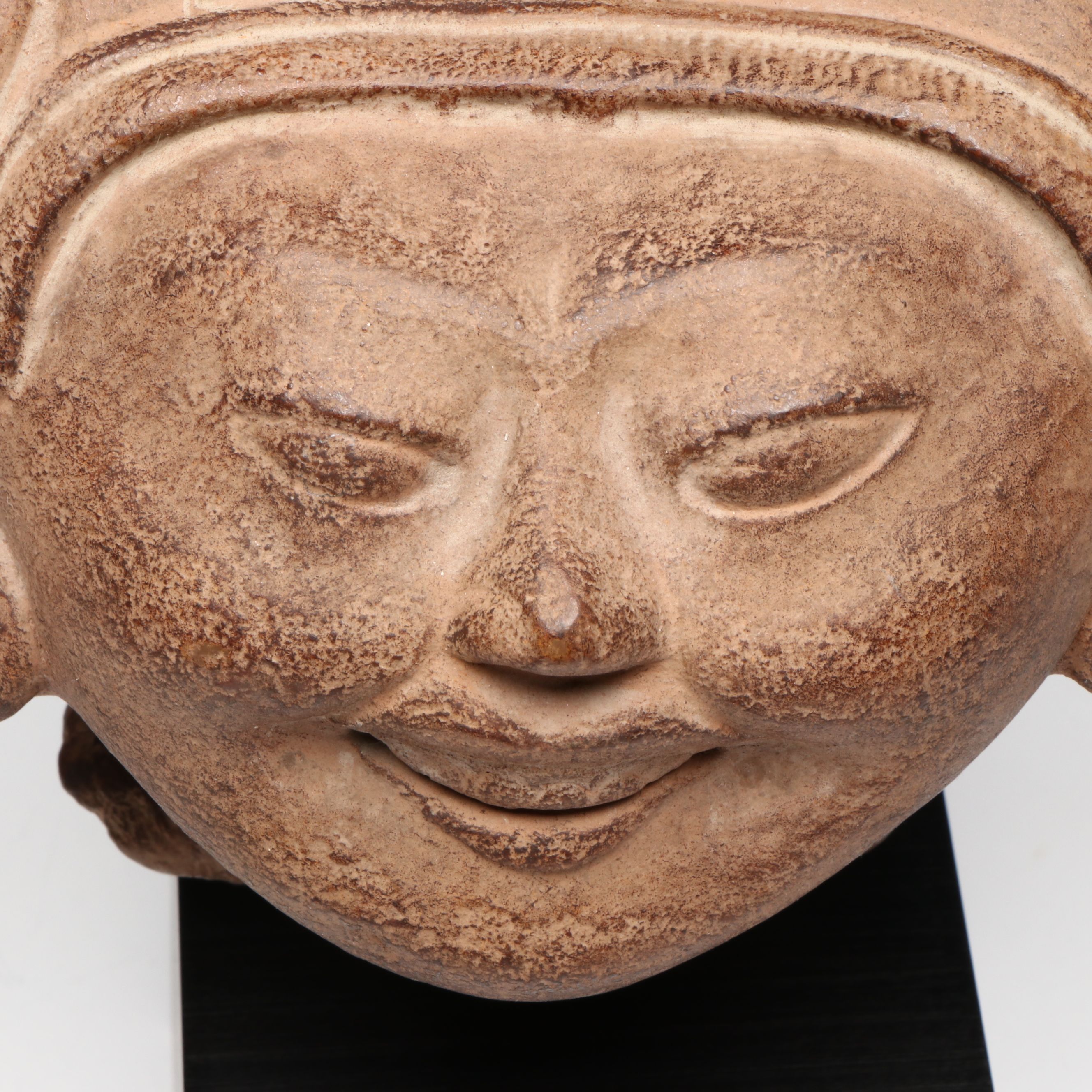 Alva Museum Replicas Museum of Natural History Mounted Reproduction