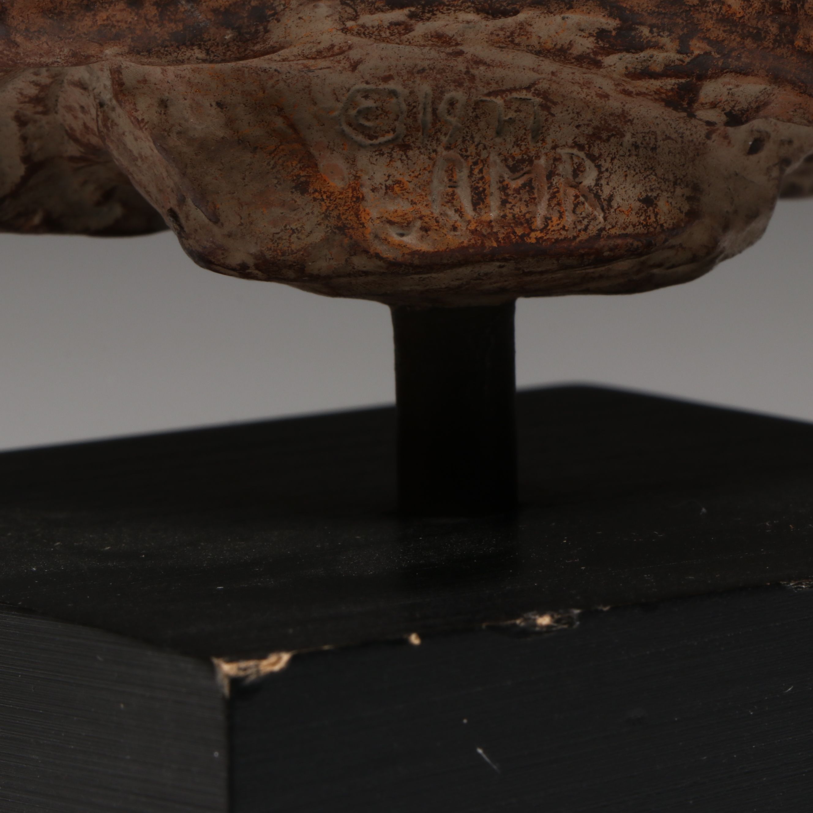 Alva Museum Replicas Museum of Natural History Mounted Reproduction