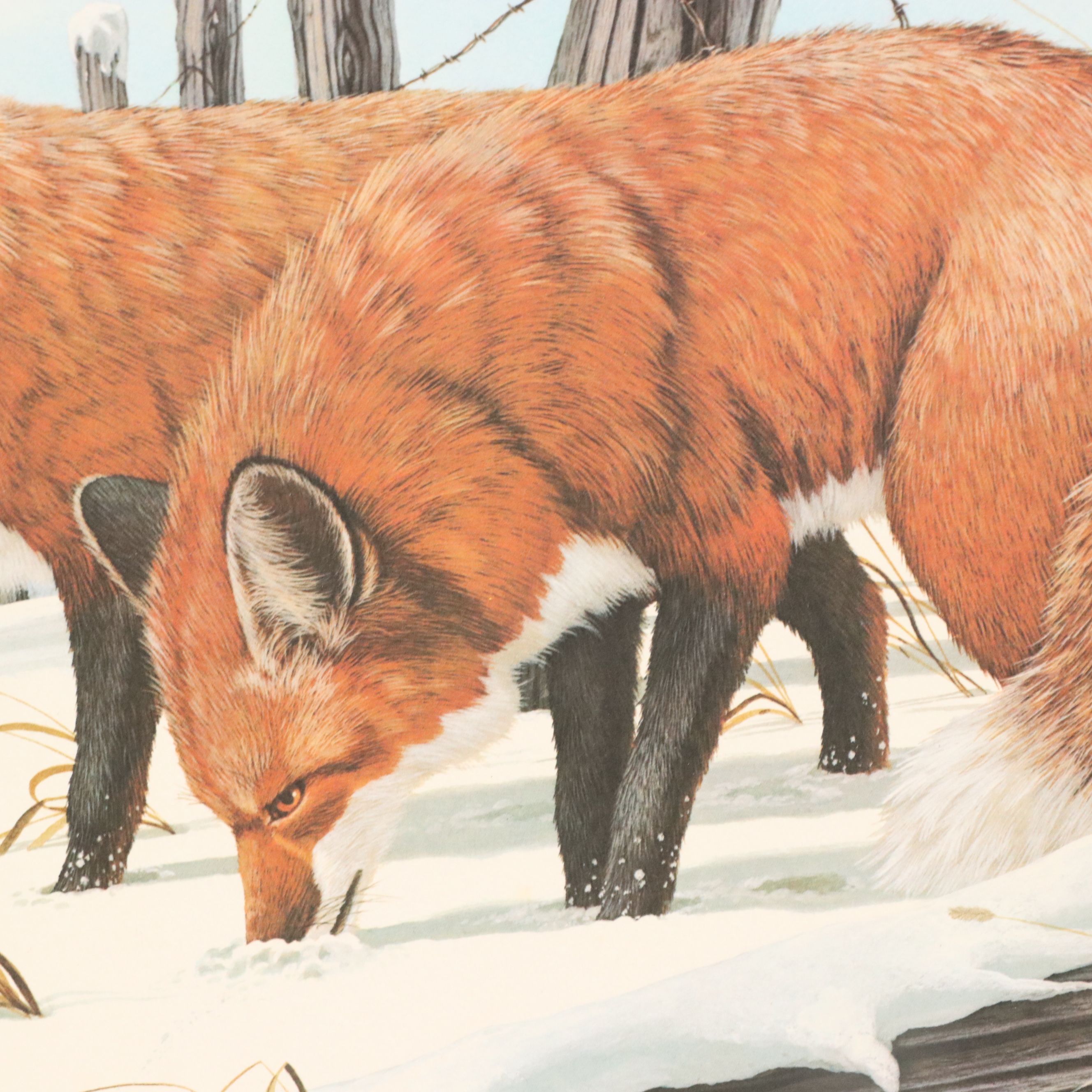 Offset Lithographs After Don Balke "Gray Fox" and "Red Fox," 1970s