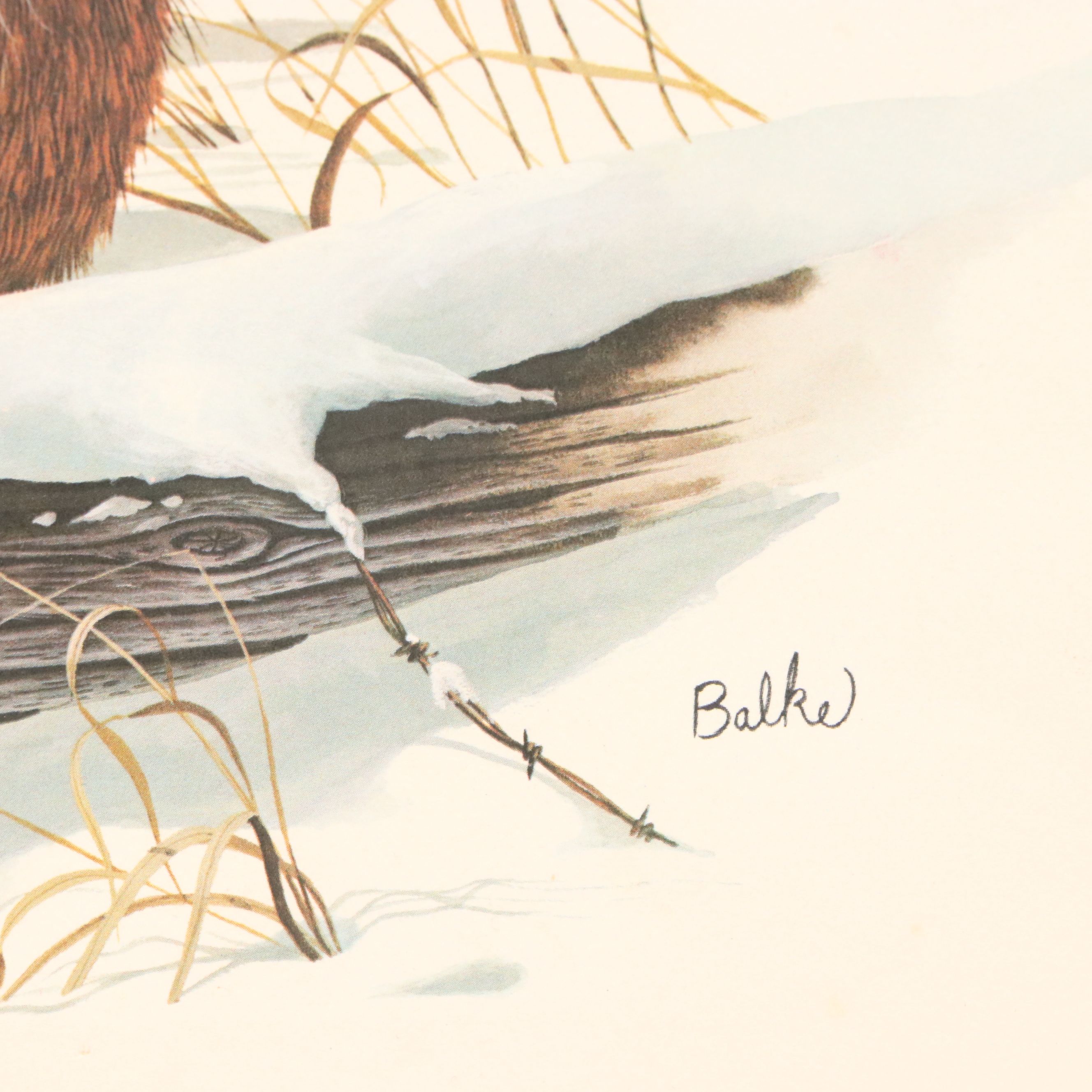 Offset Lithographs After Don Balke "Gray Fox" and "Red Fox," 1970s