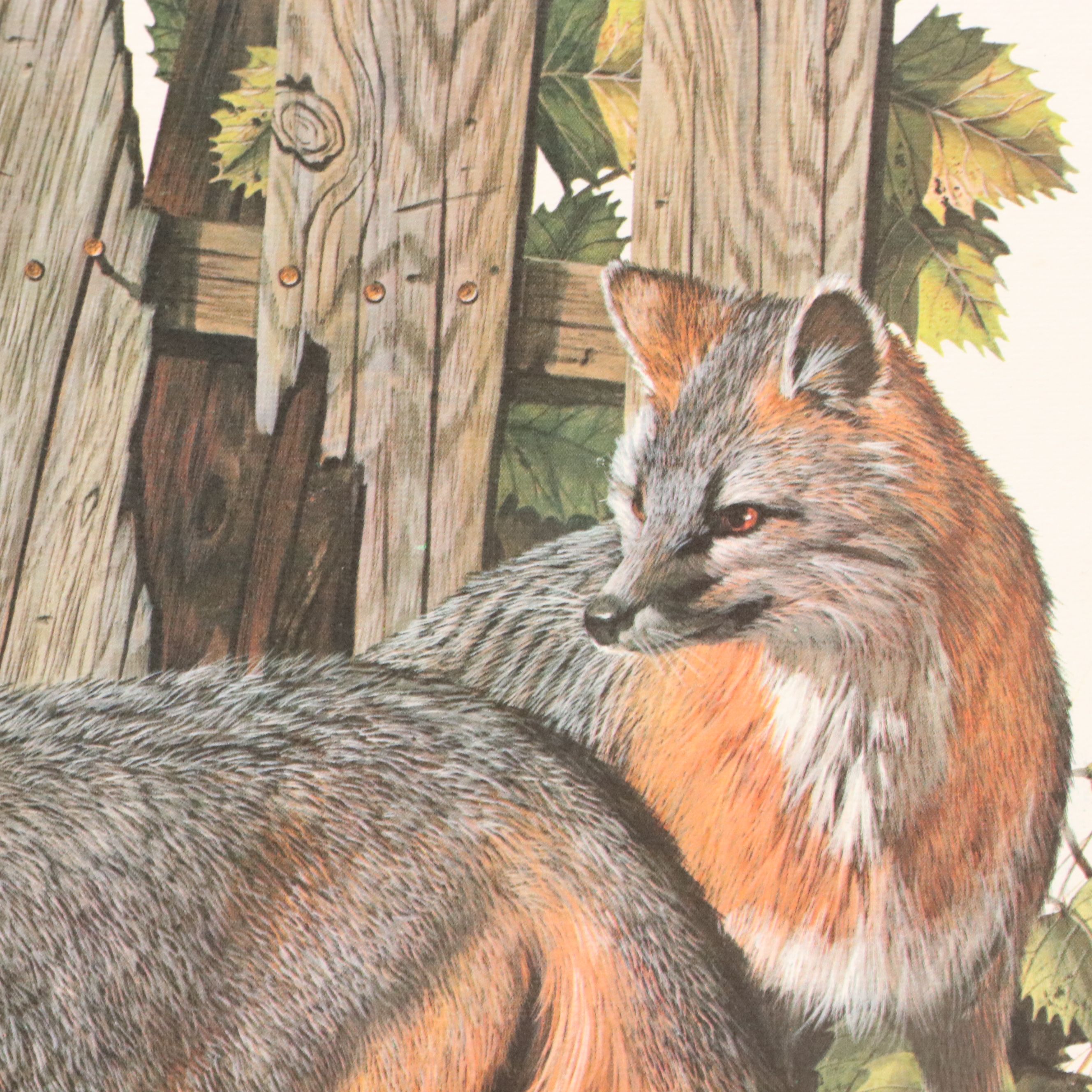 Offset Lithographs After Don Balke "Gray Fox" and "Red Fox," 1970s