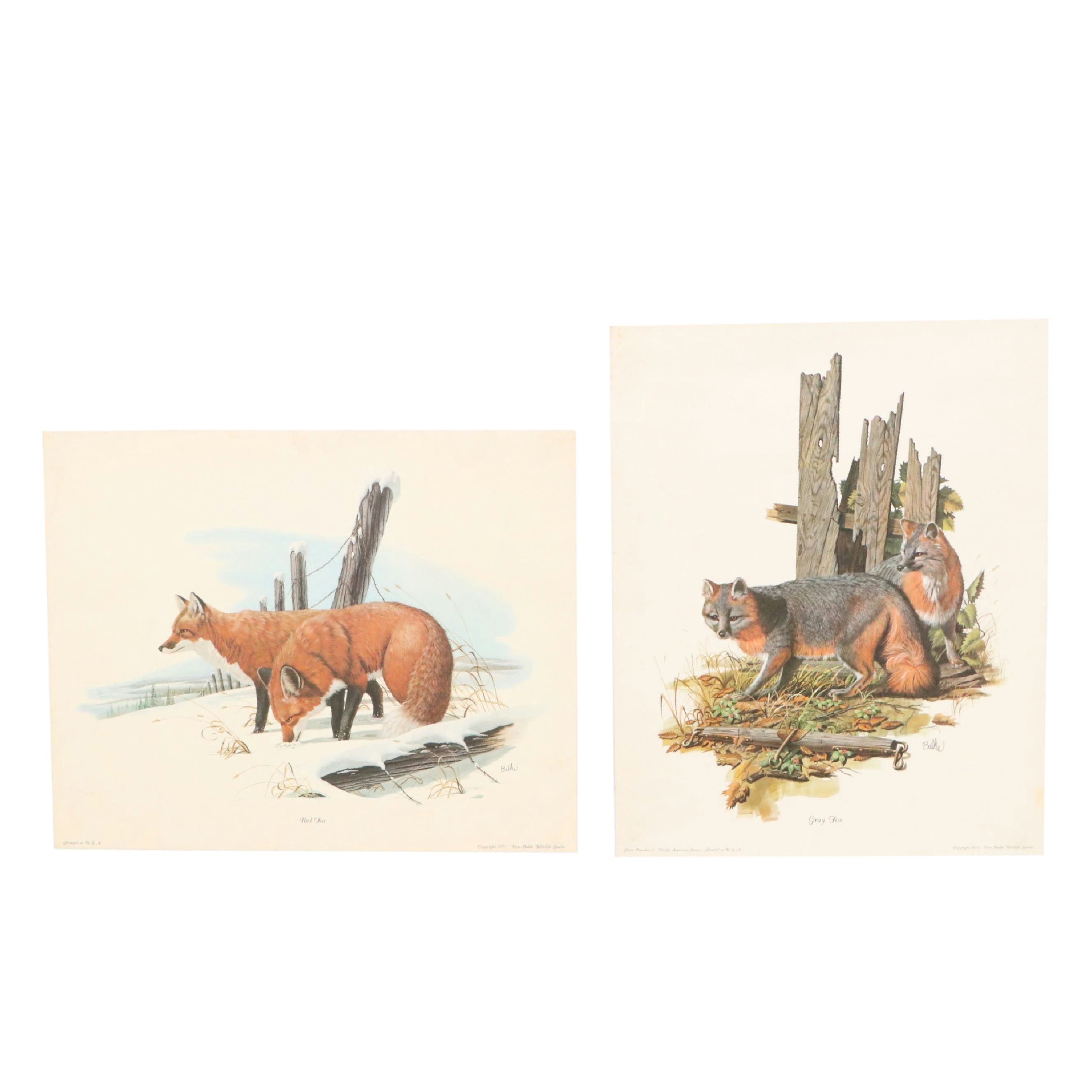 Offset Lithographs After Don Balke "Gray Fox" and "Red Fox," 1970s